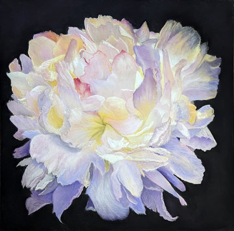 Bloominosity