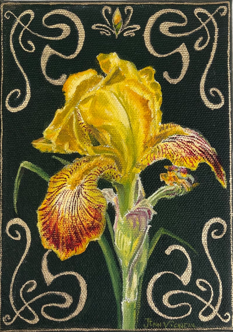 Iris