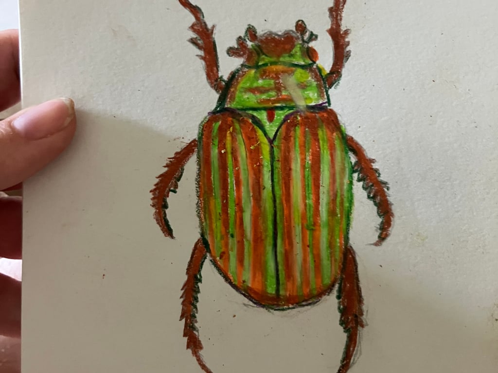 Chrysina Adelaida