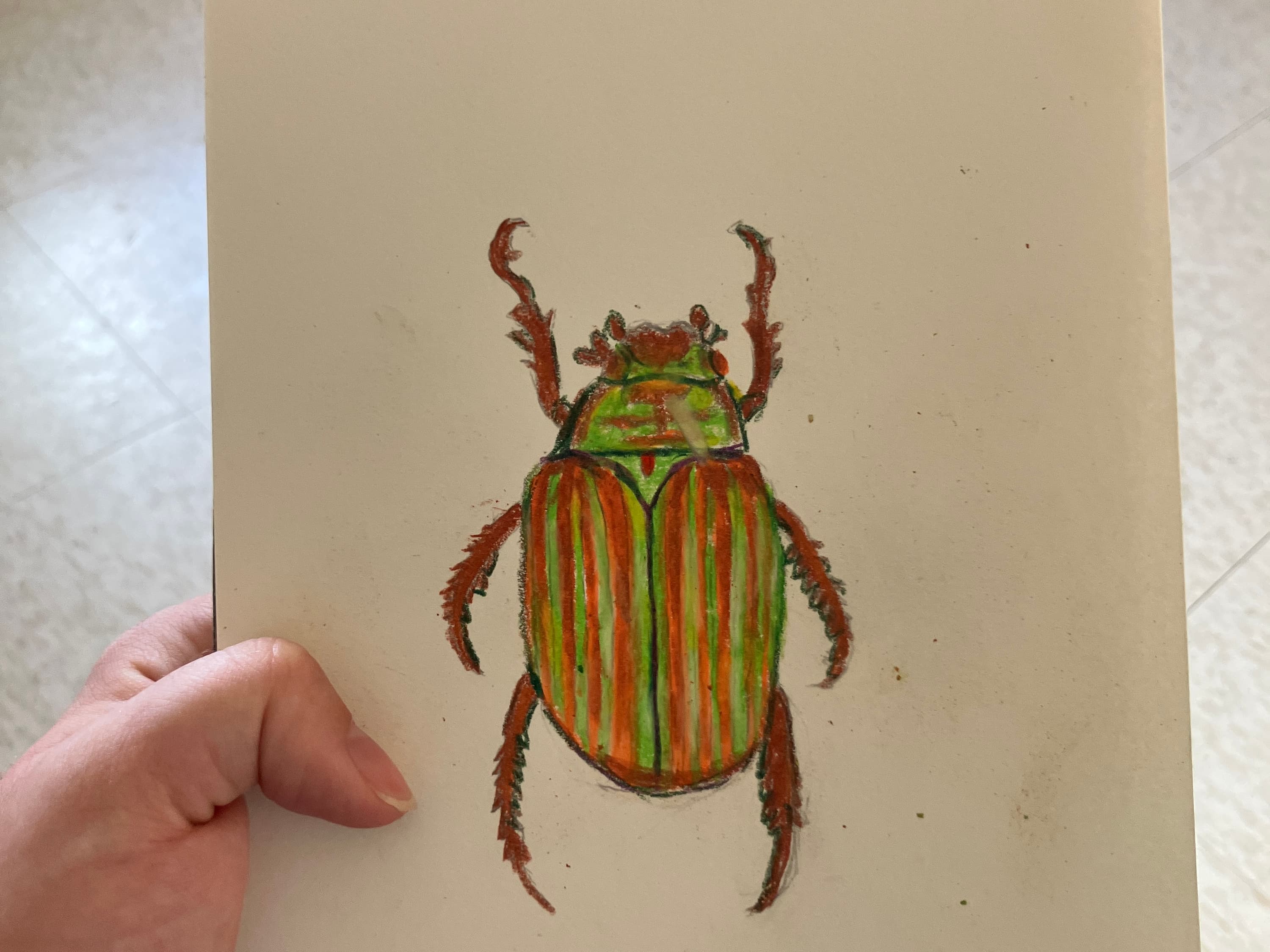 Chrysina Adelaida - view 3