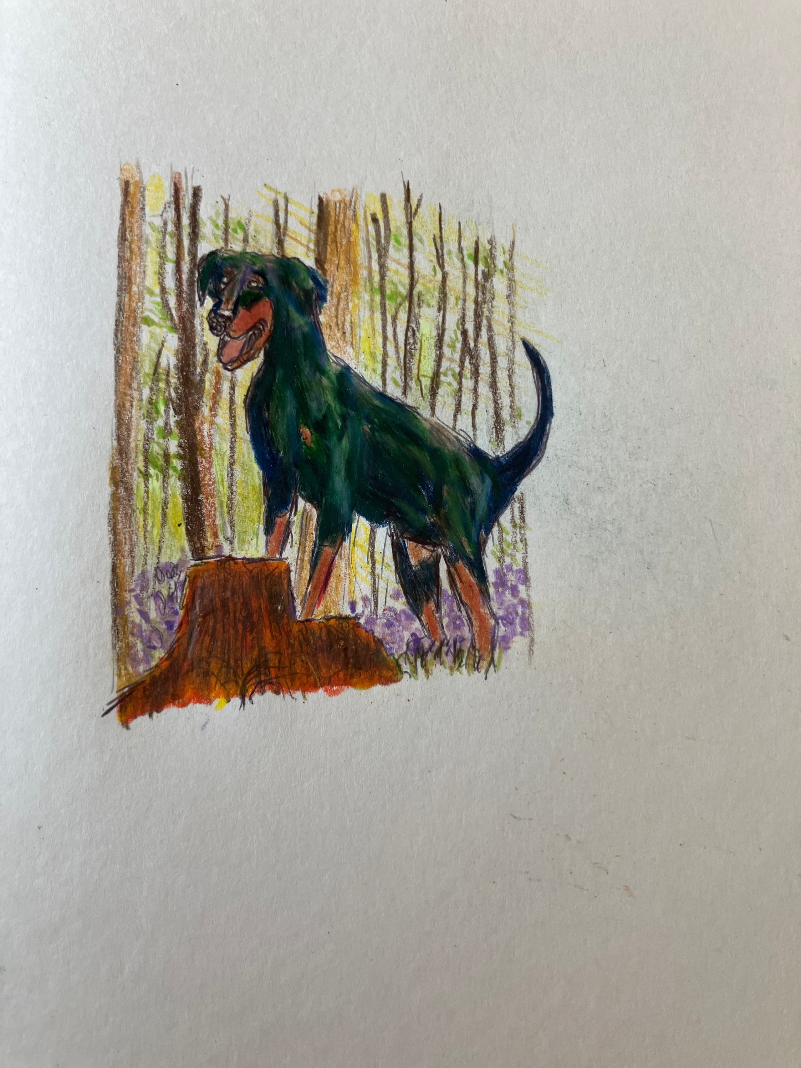 In the woods 