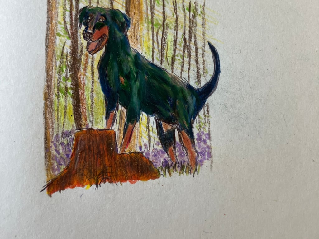 In the woods 