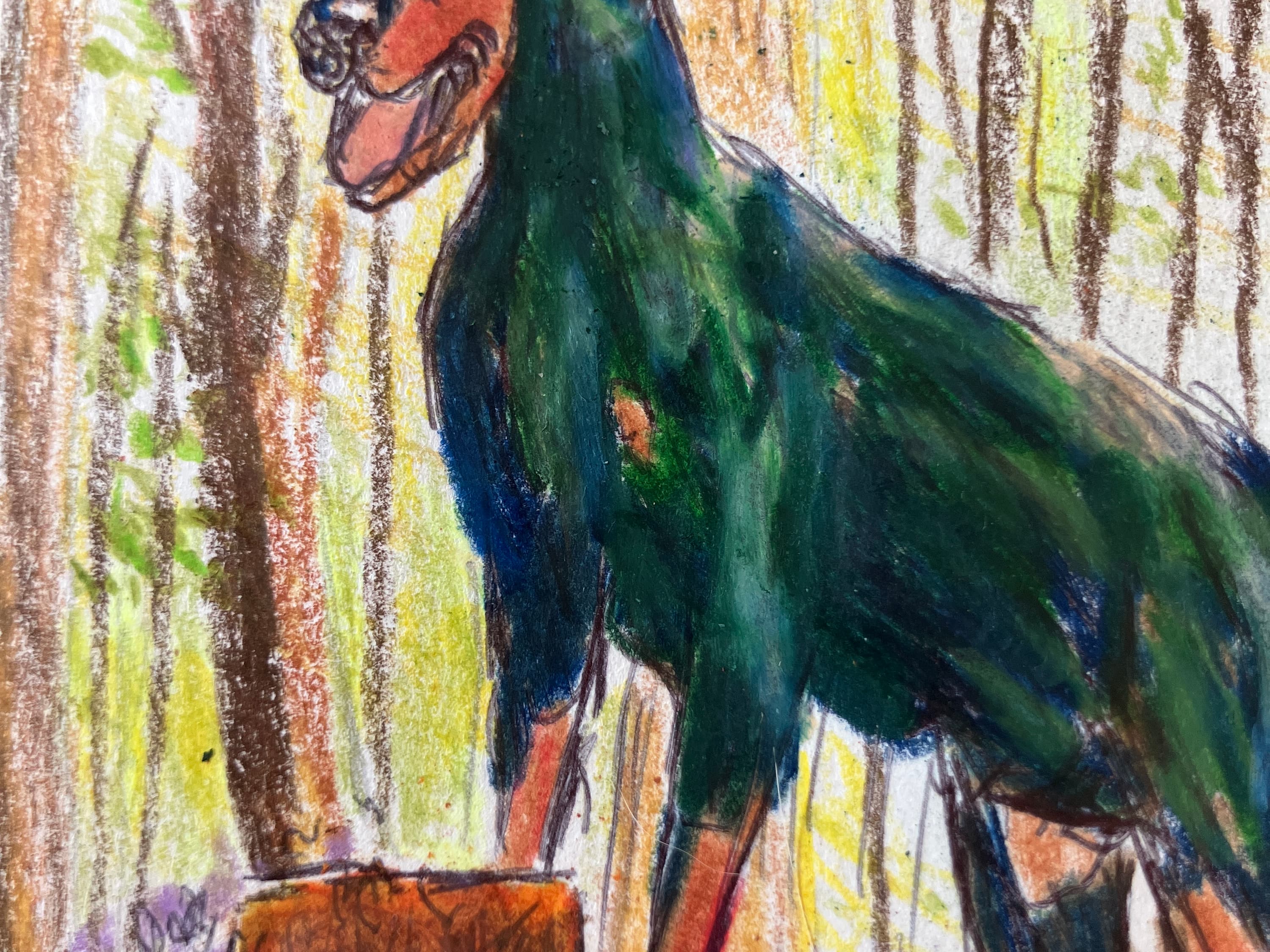 In the woods  - view 3