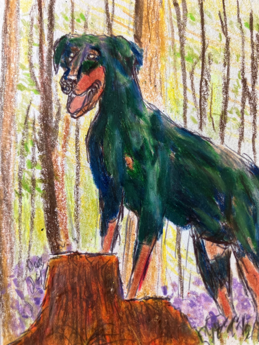 In the woods  - view 2