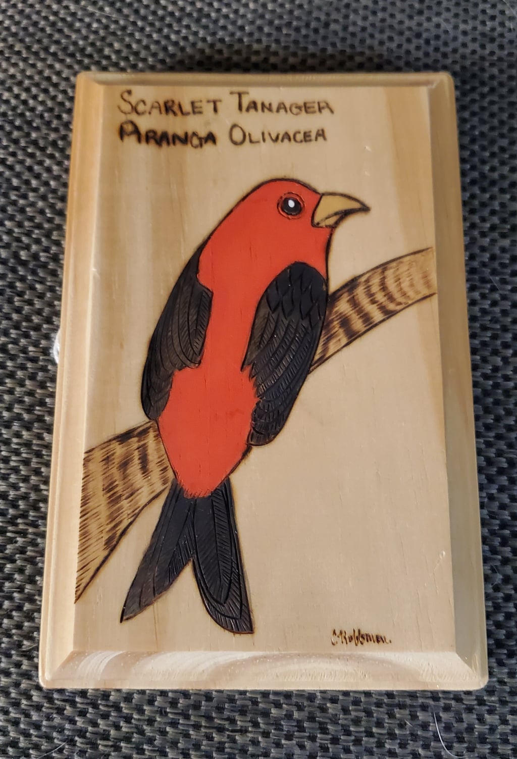 Scarlet Tanager