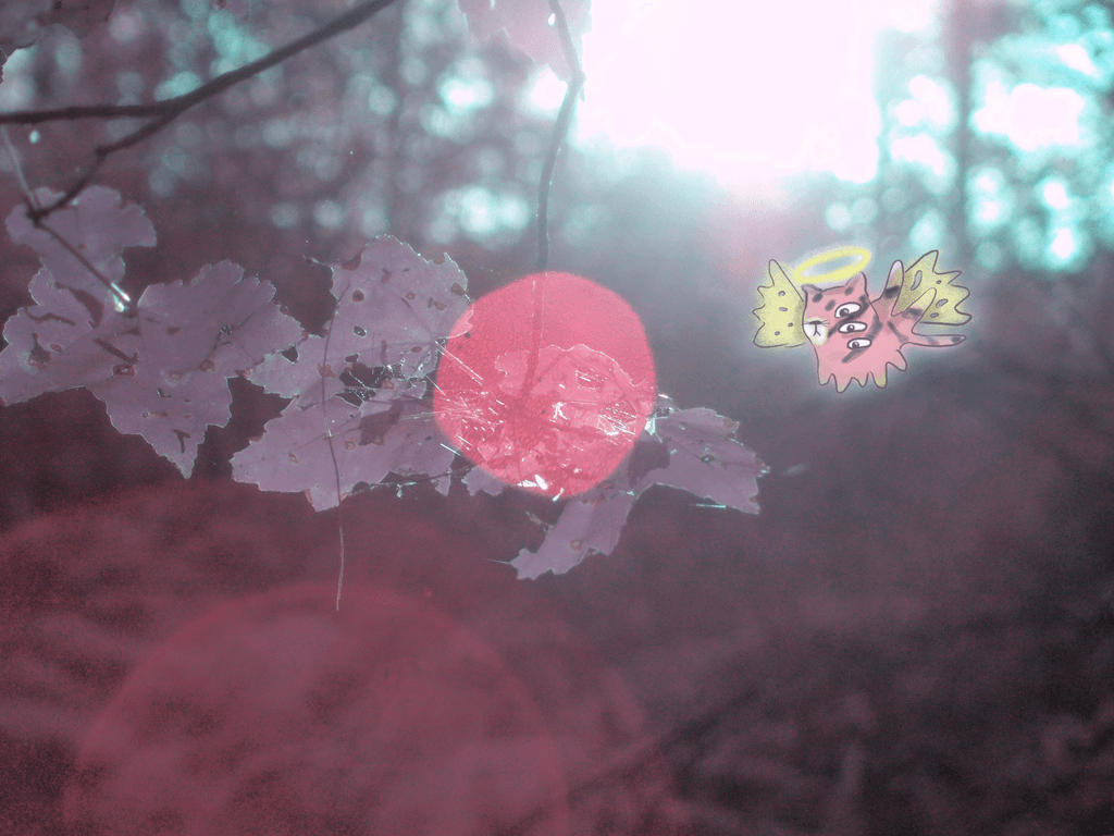 A Little Light