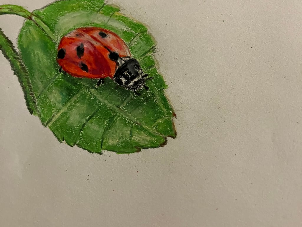 The Little Ladybug