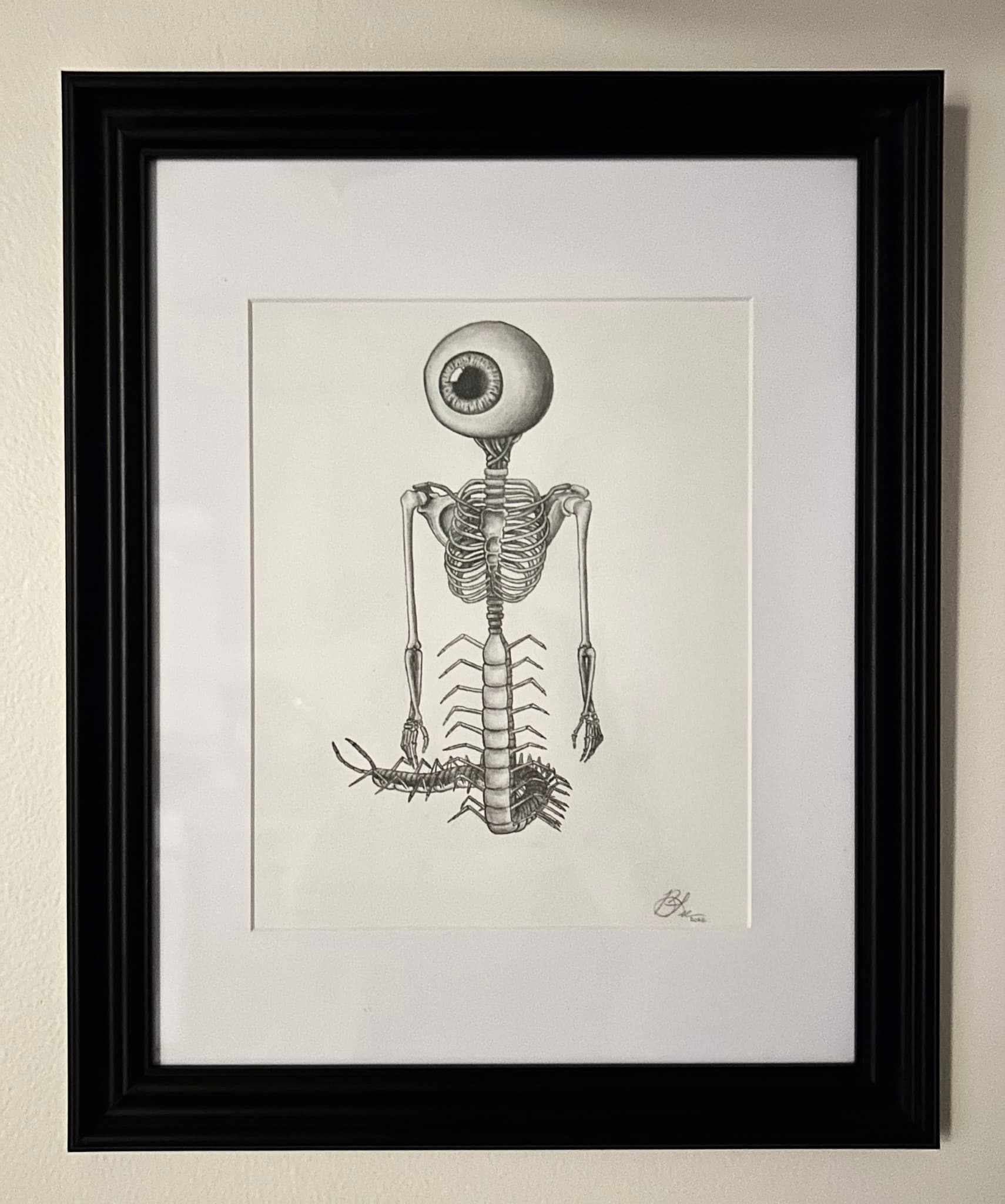 Corpus Oculi - view 3