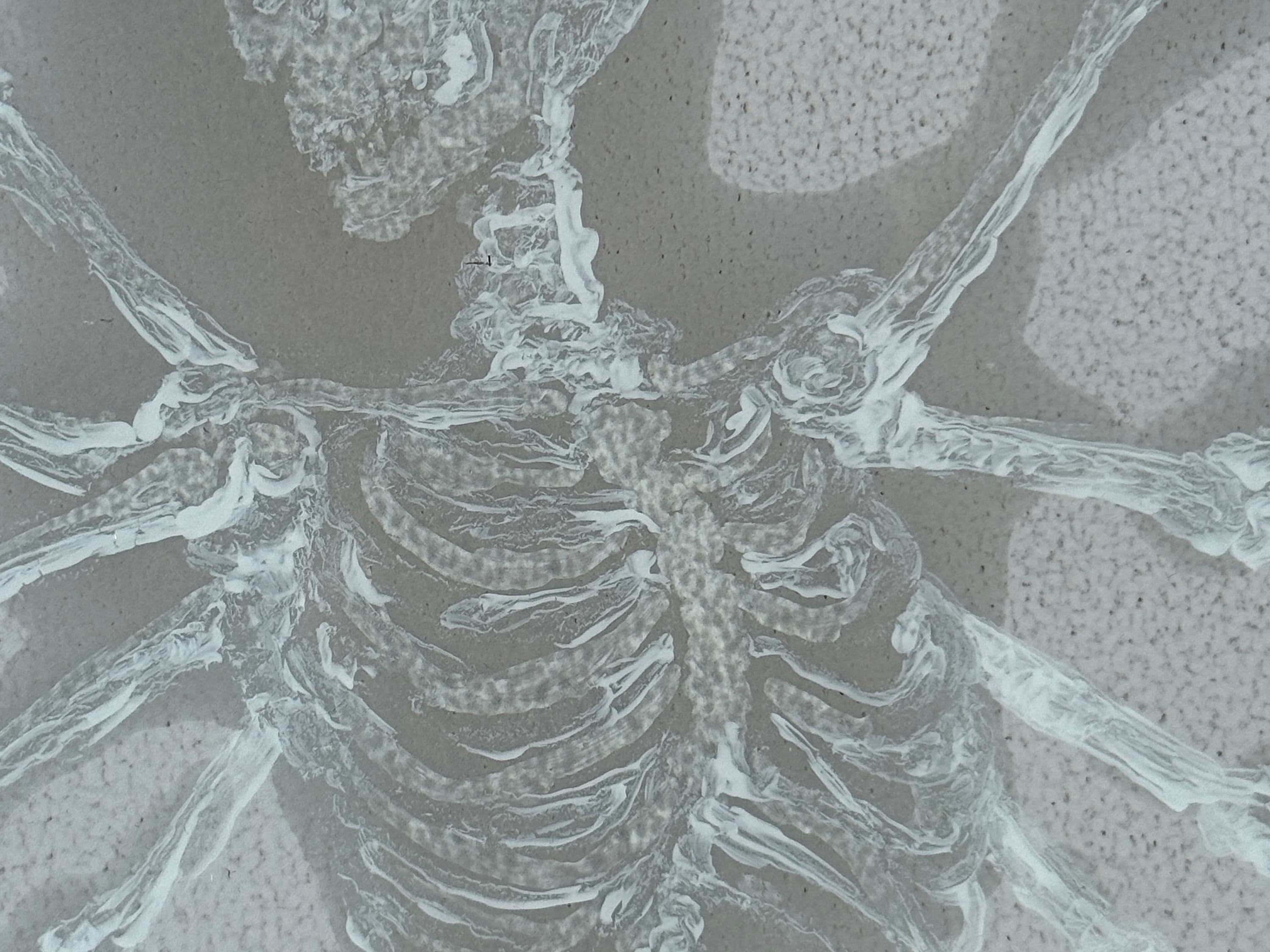 Nature morte, danse N°1 - view 4