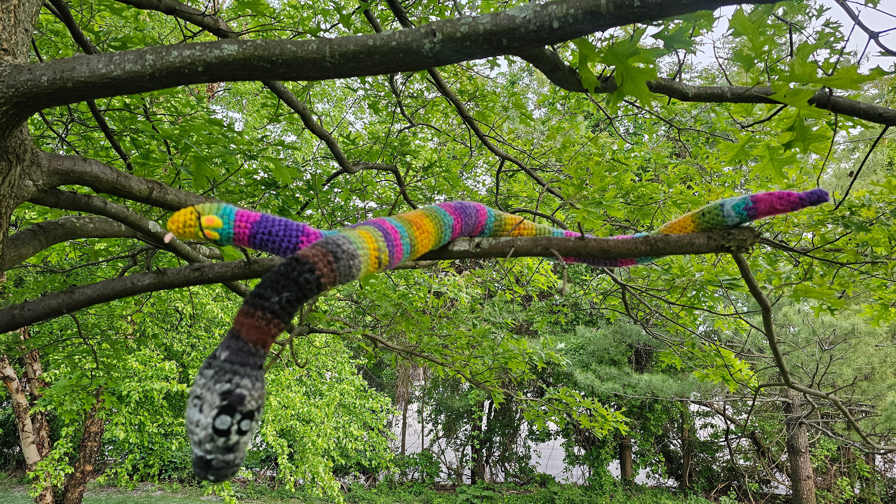 MIGBY & Ash - view 4