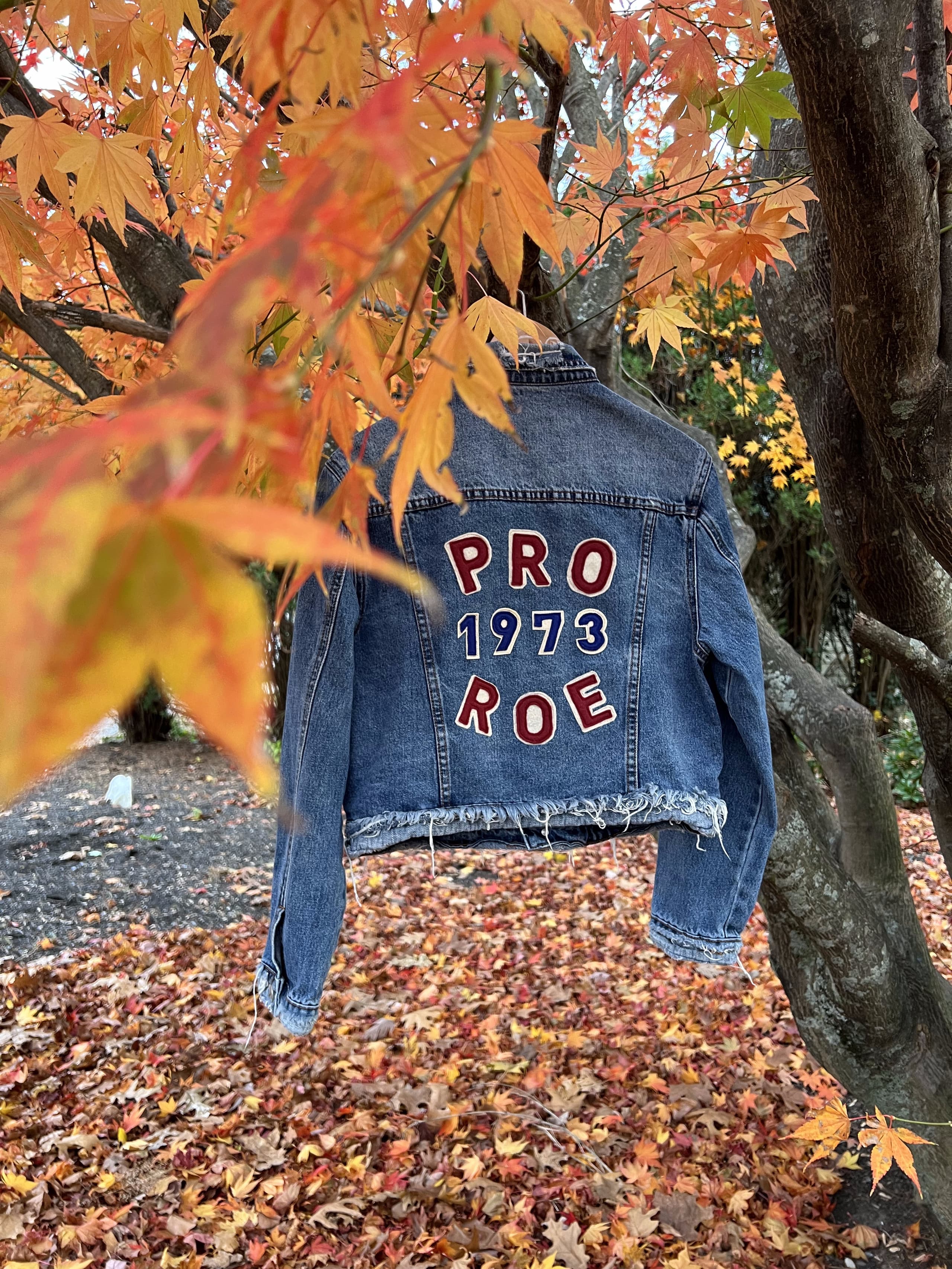 Pro Roe