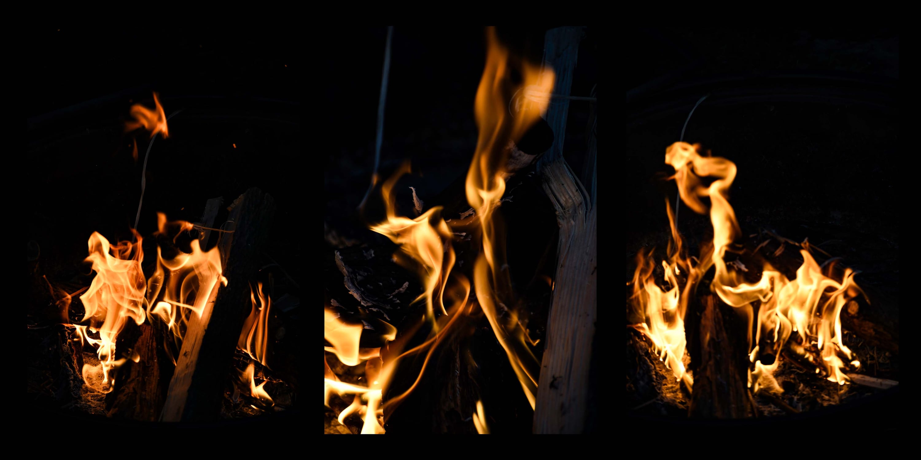 Vivacity