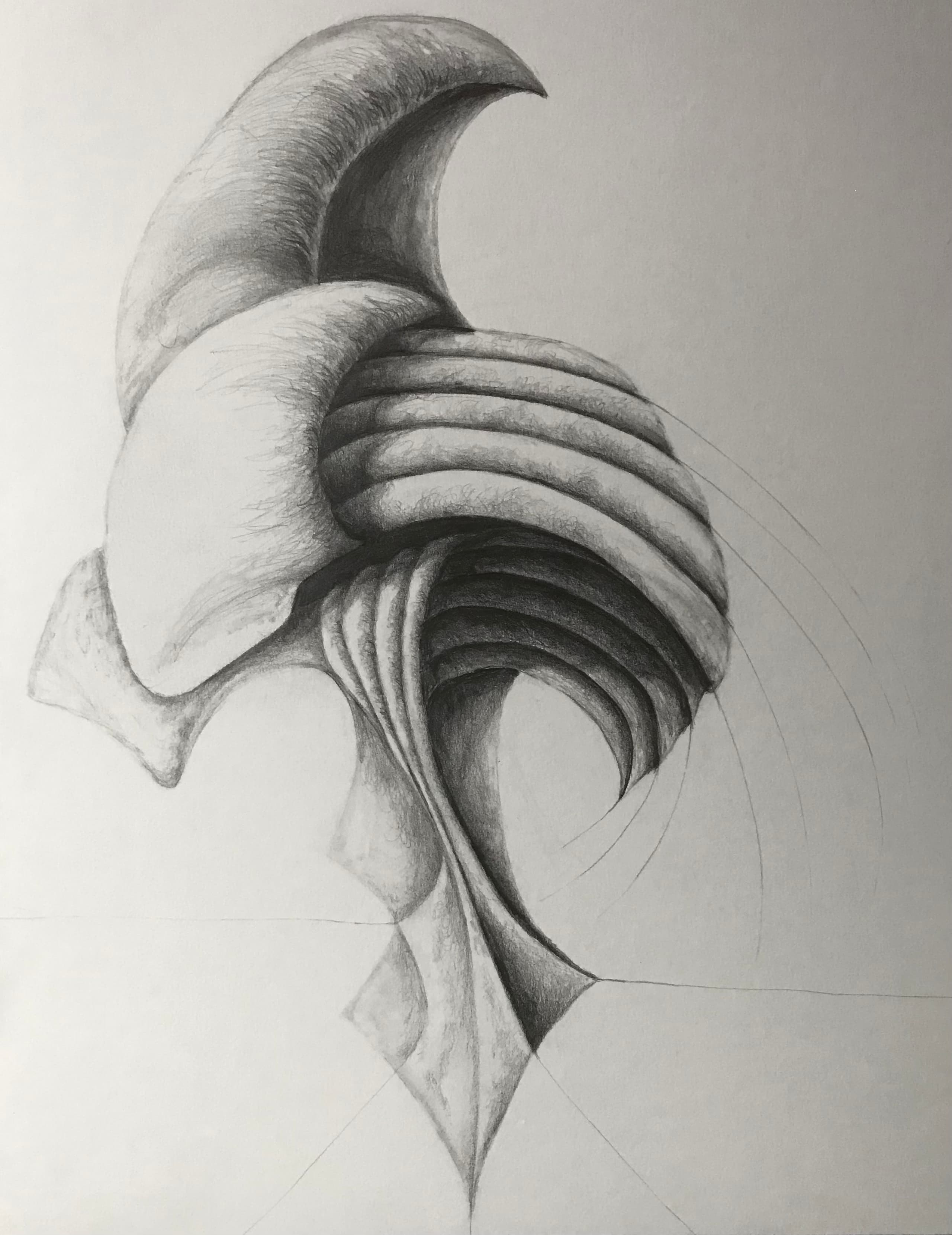 Shaded Forms 9