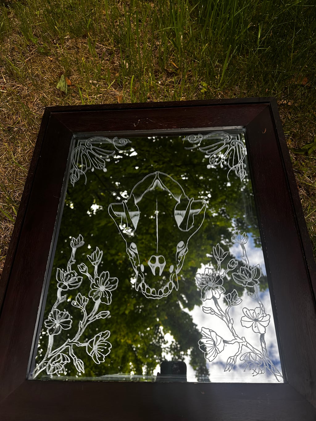 Renewal - view 2
