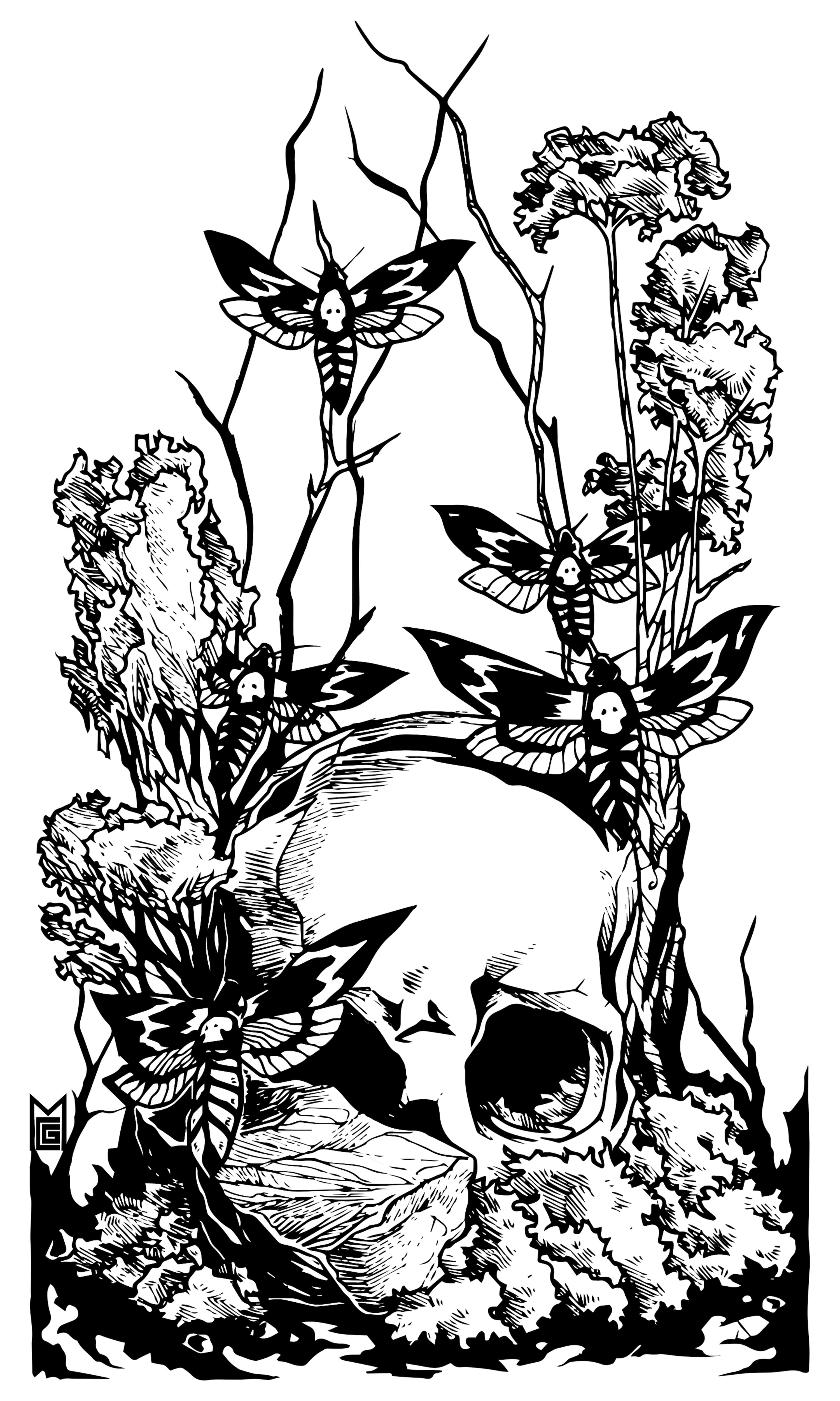 Dead Man's Curio