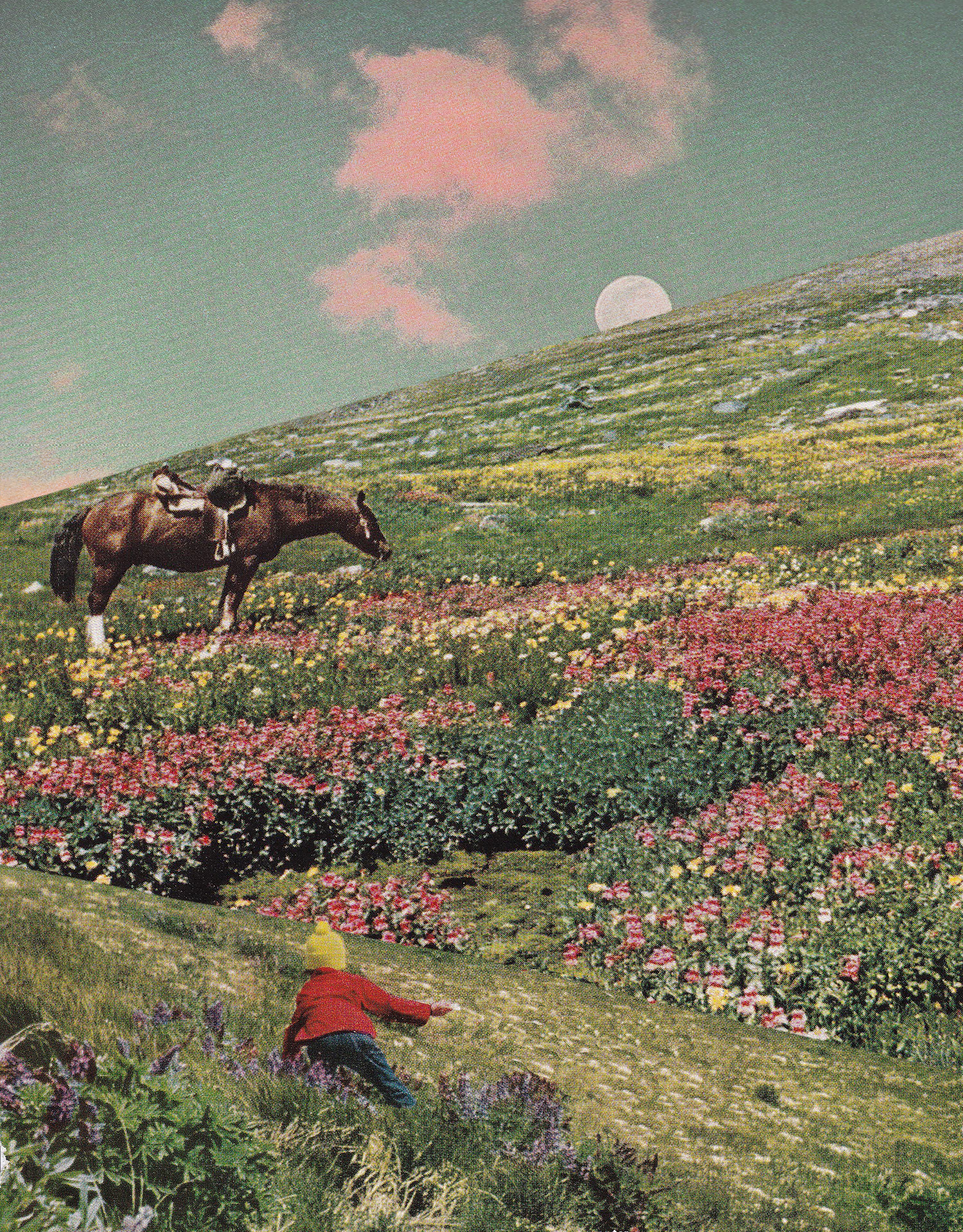 an arriving