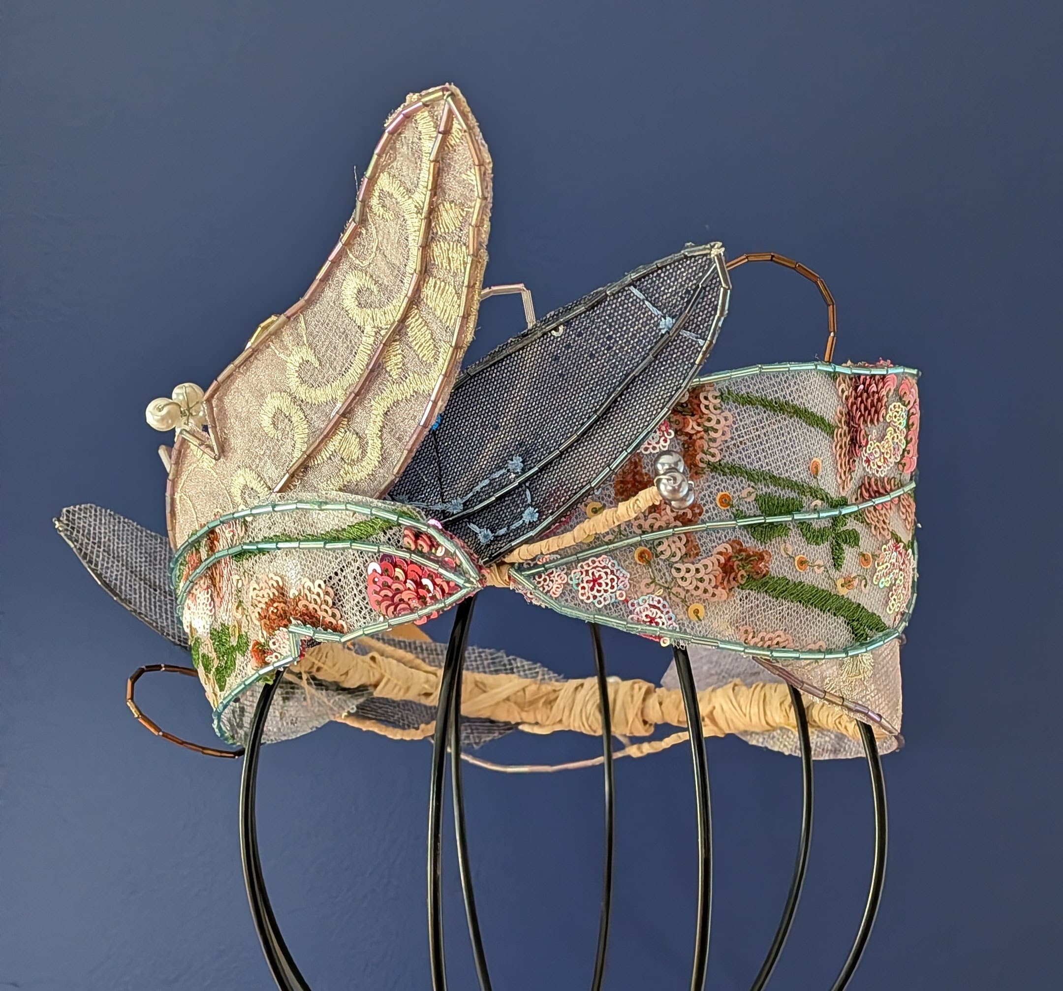 Preening (the feather crown) - view 2