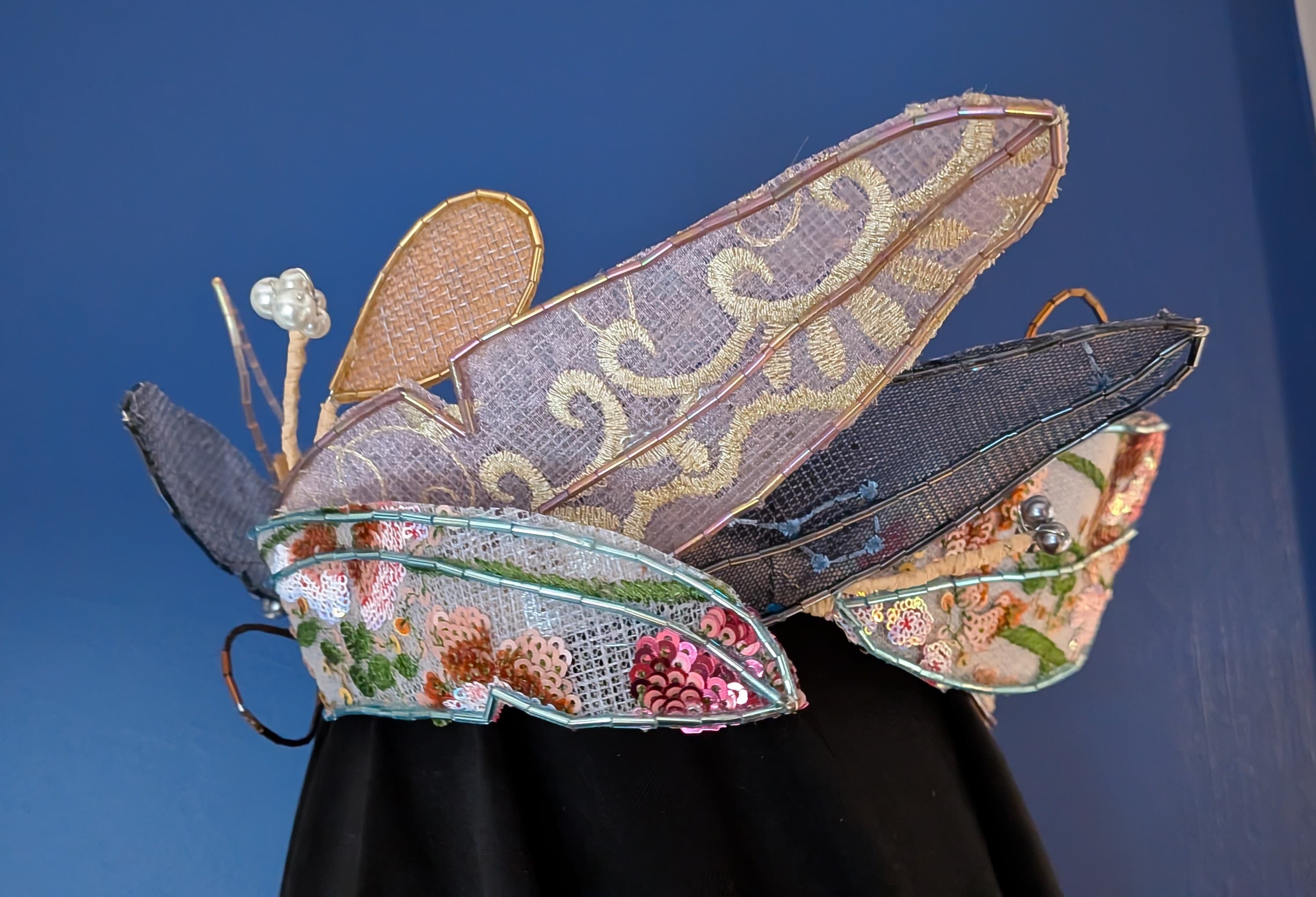 Preening (the feather crown)
