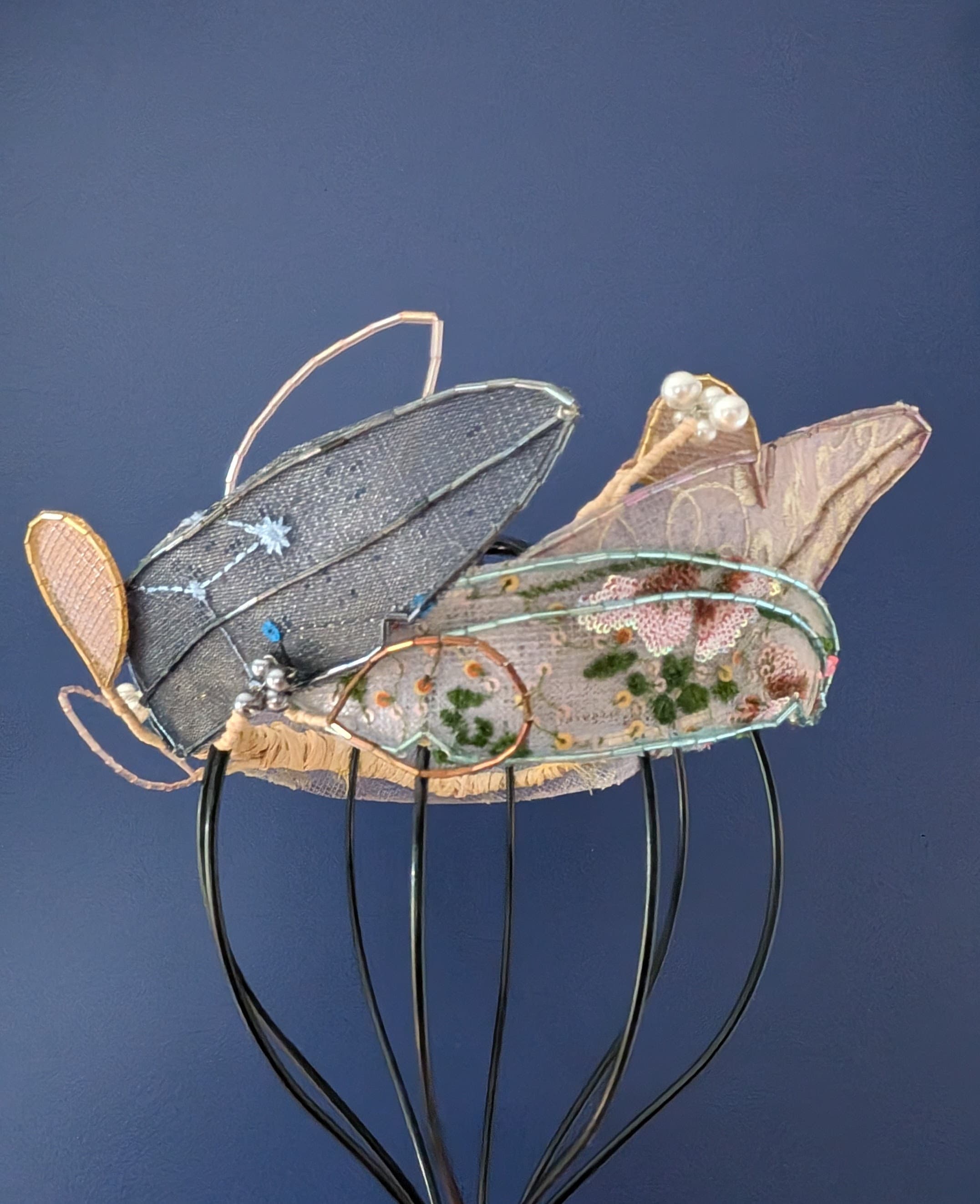 Preening (the feather crown) - view 3