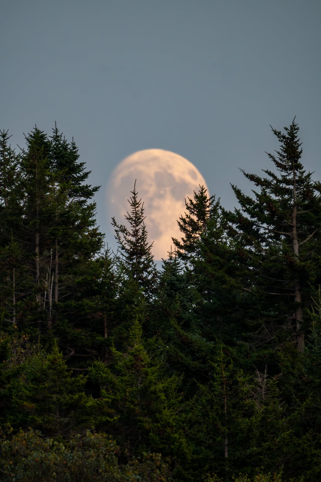 Monhegan Moonrise