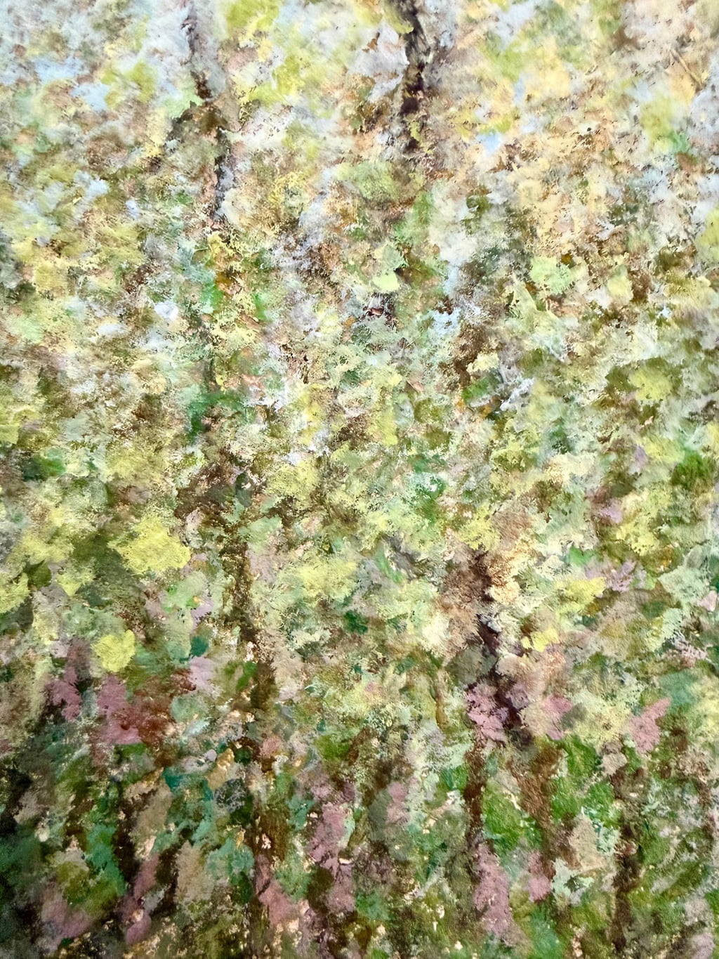 The Bramble in Early Spring - view 2