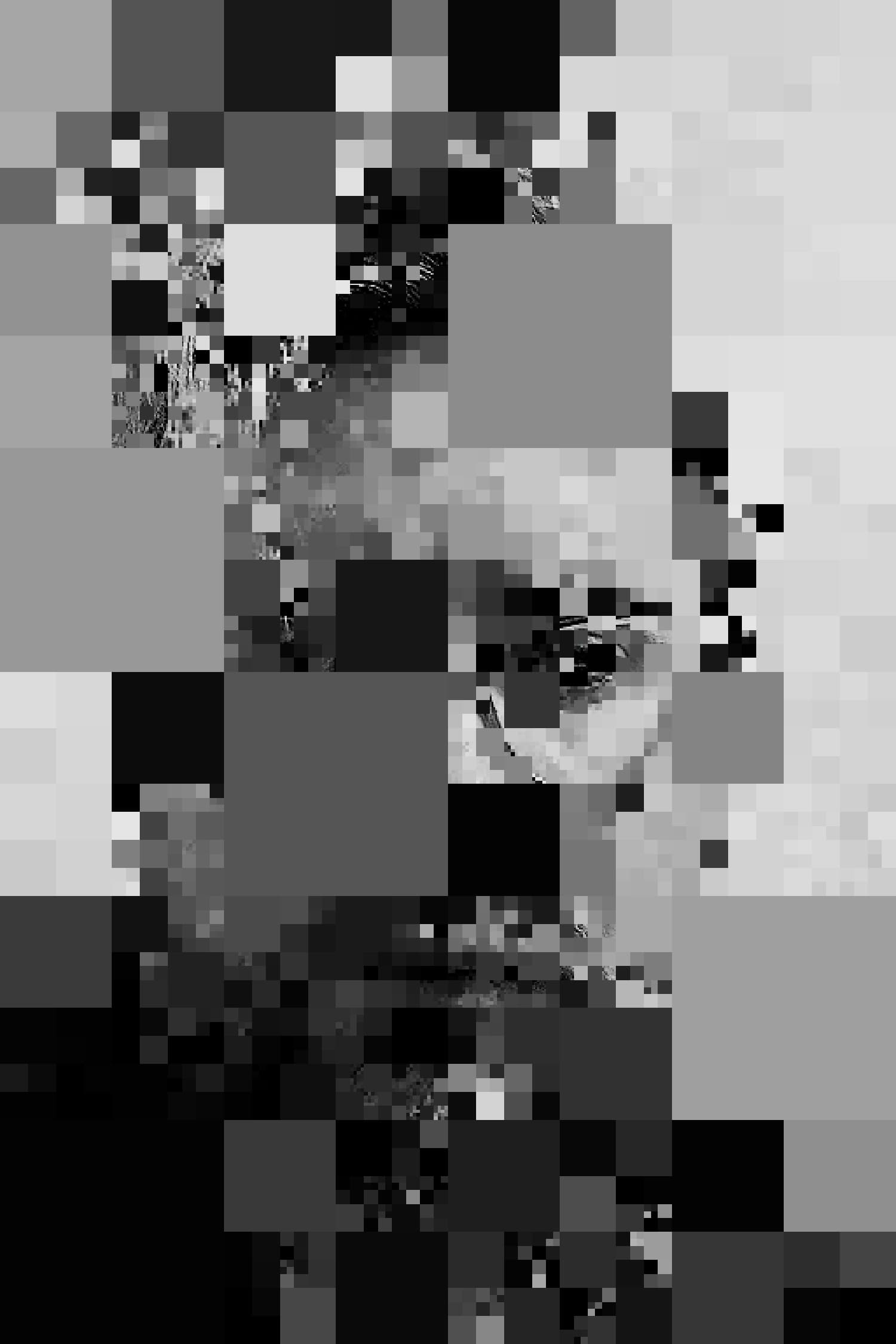 Self-Portrait at 8 Resolutions 1