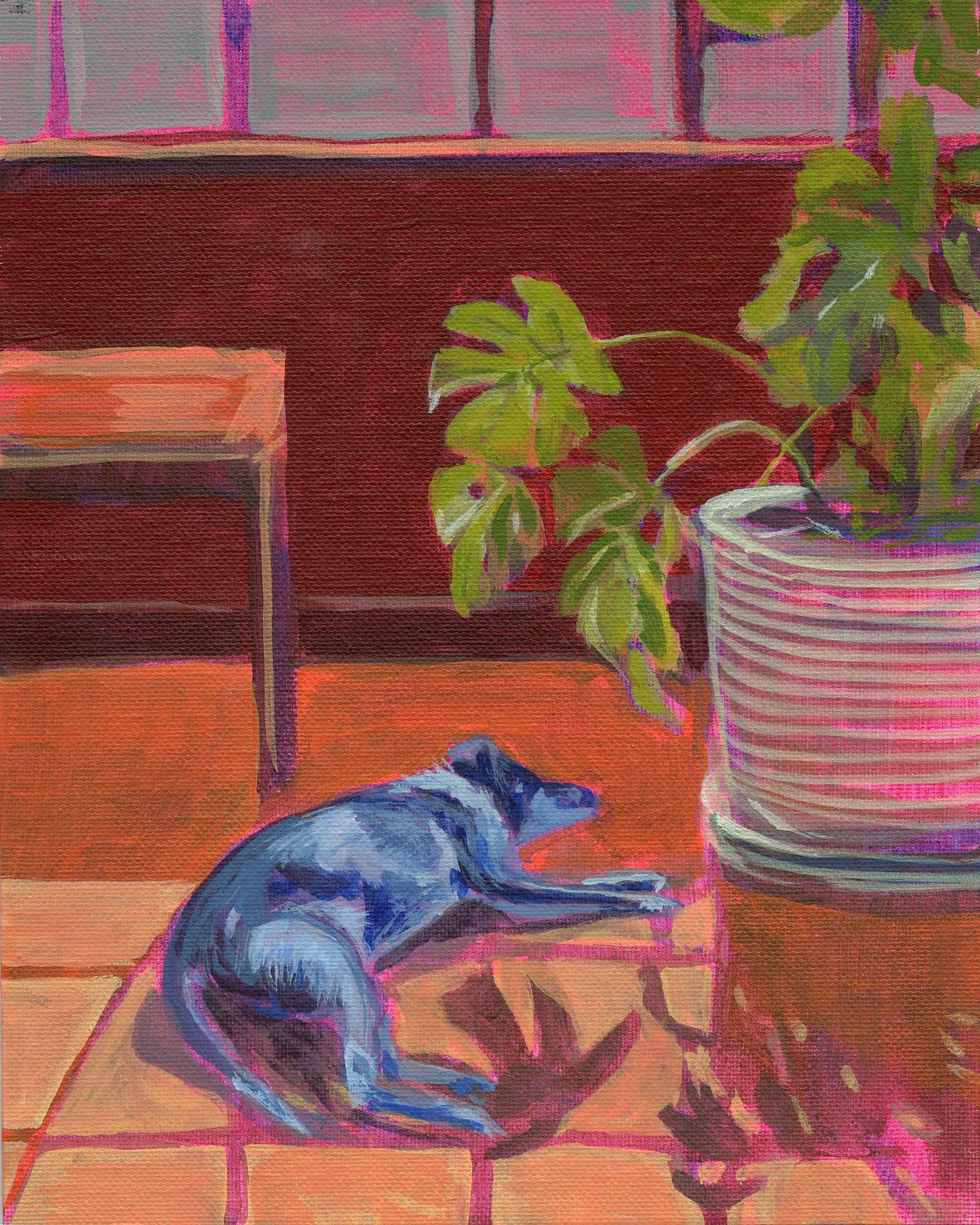 Warm Bit of Pavement