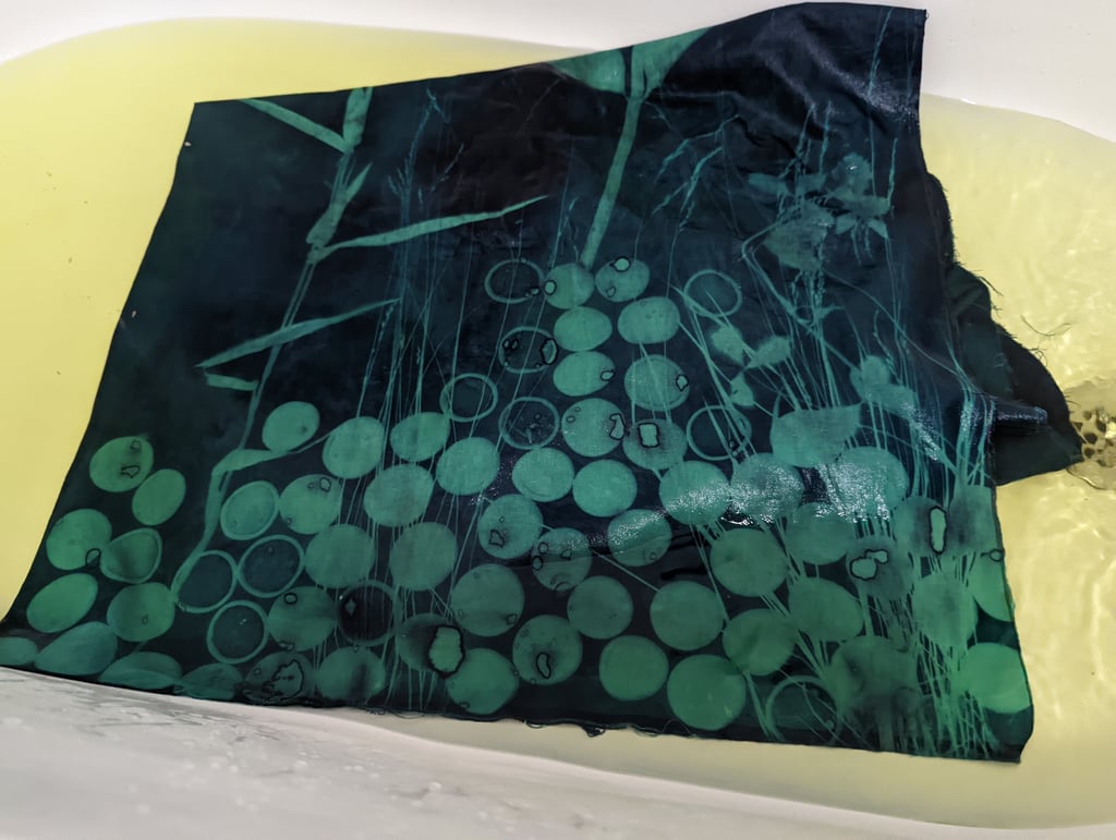 My First Cyanotype - view 2