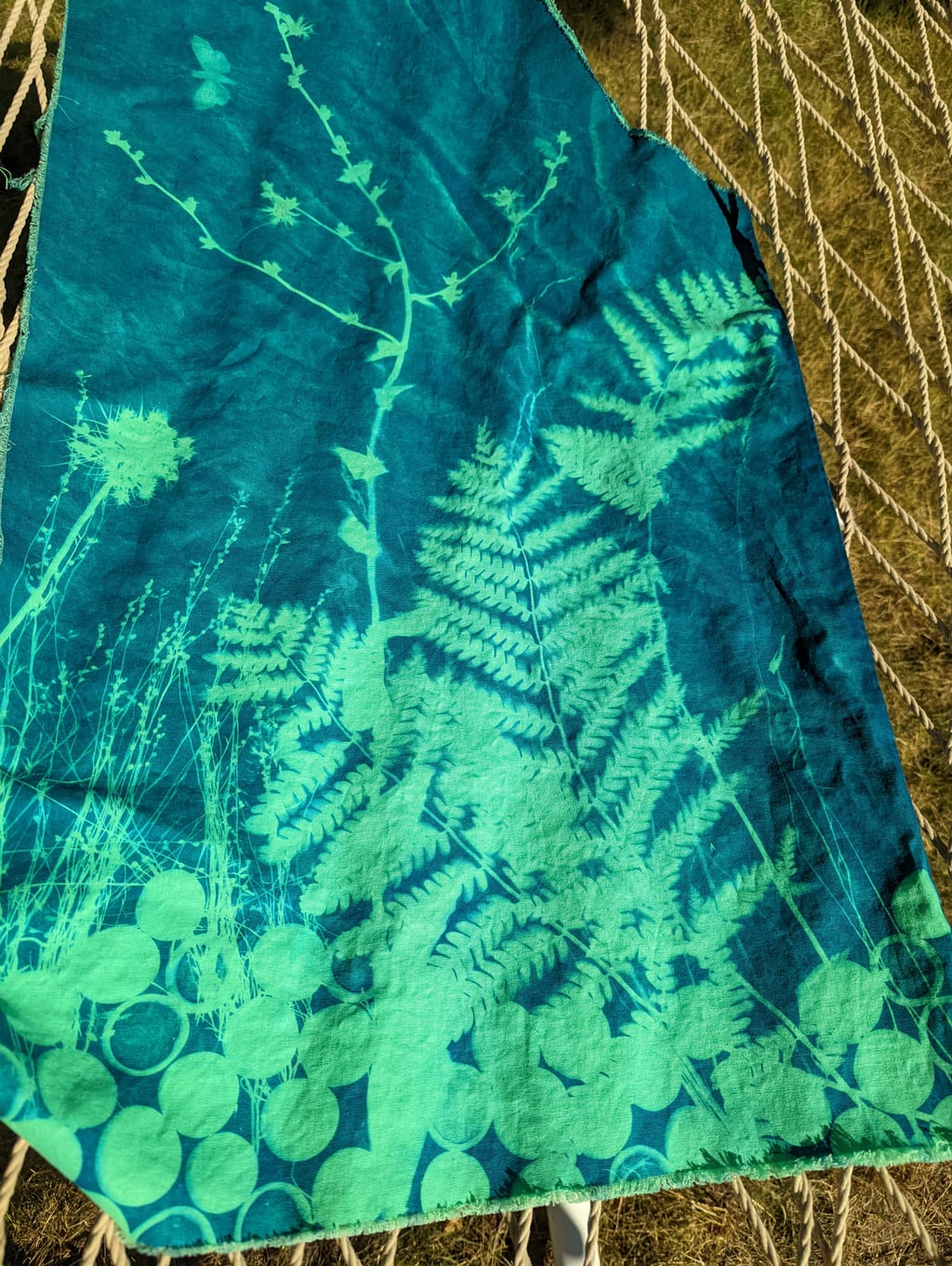 My First Cyanotype - view 4
