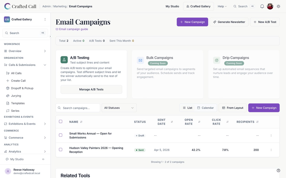 Marketing campaigns dashboard with audience segments, open rates, and send schedule.
