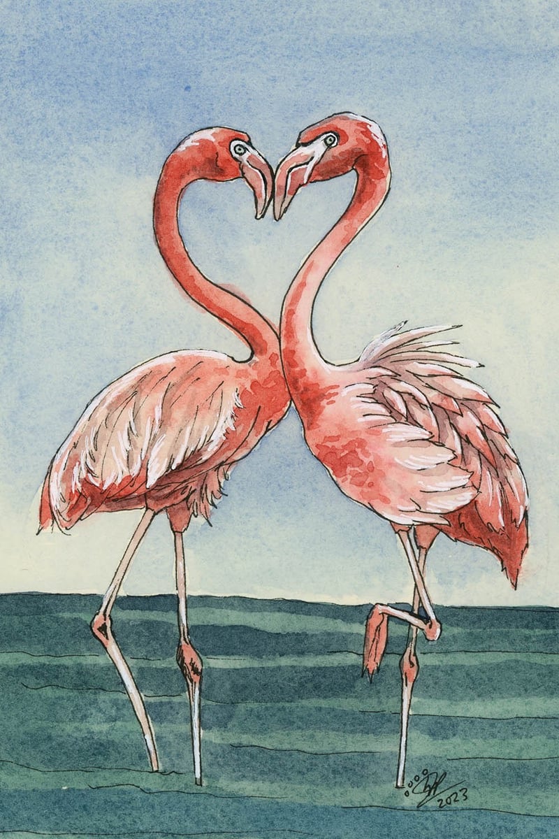 Flamingos