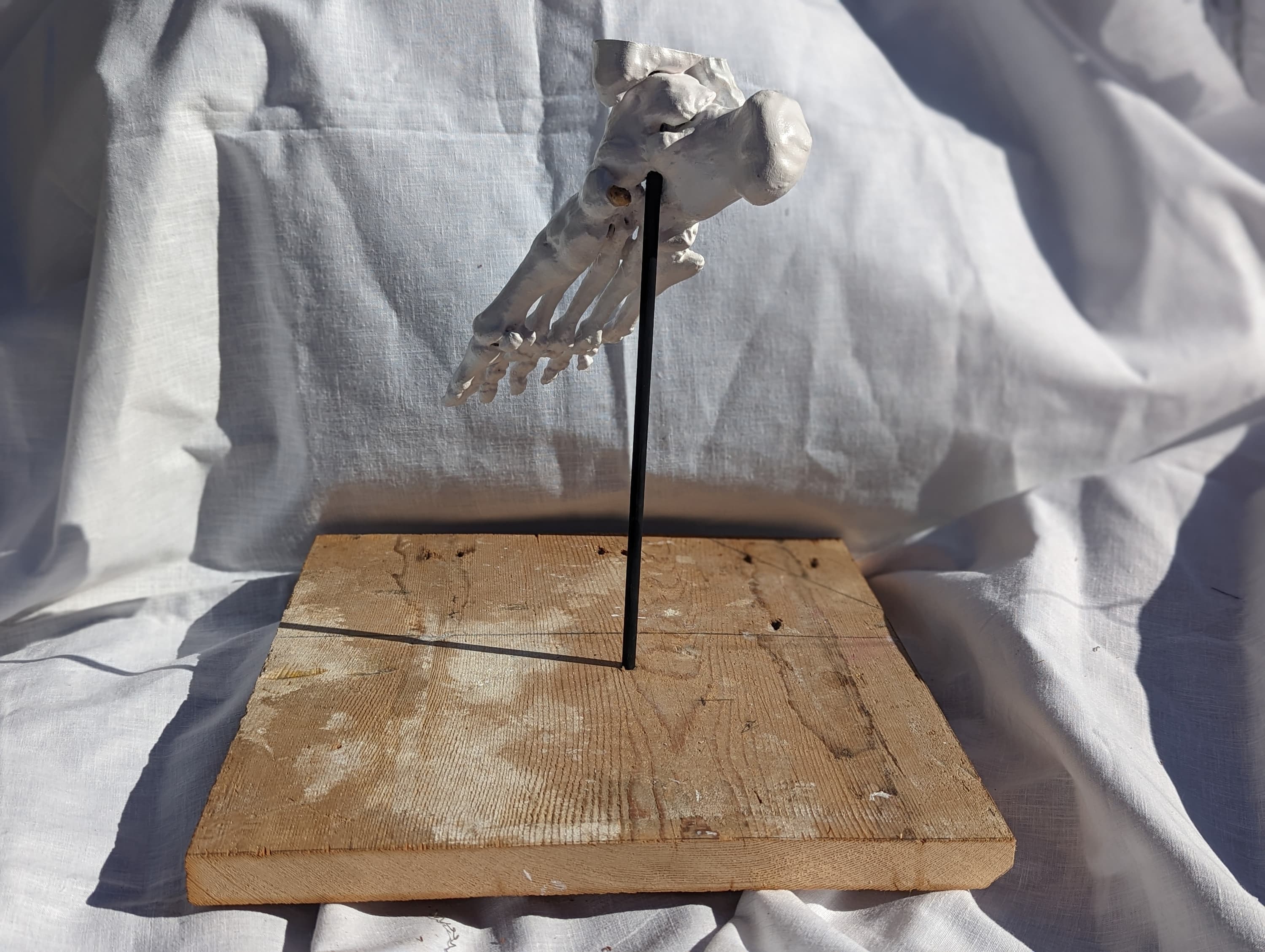 You Are Disabled OR Not Yet Disabled