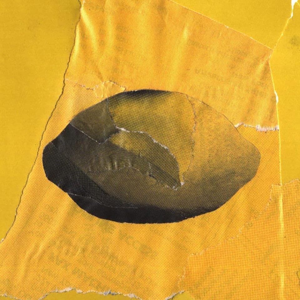 Found Image Lemon Collage