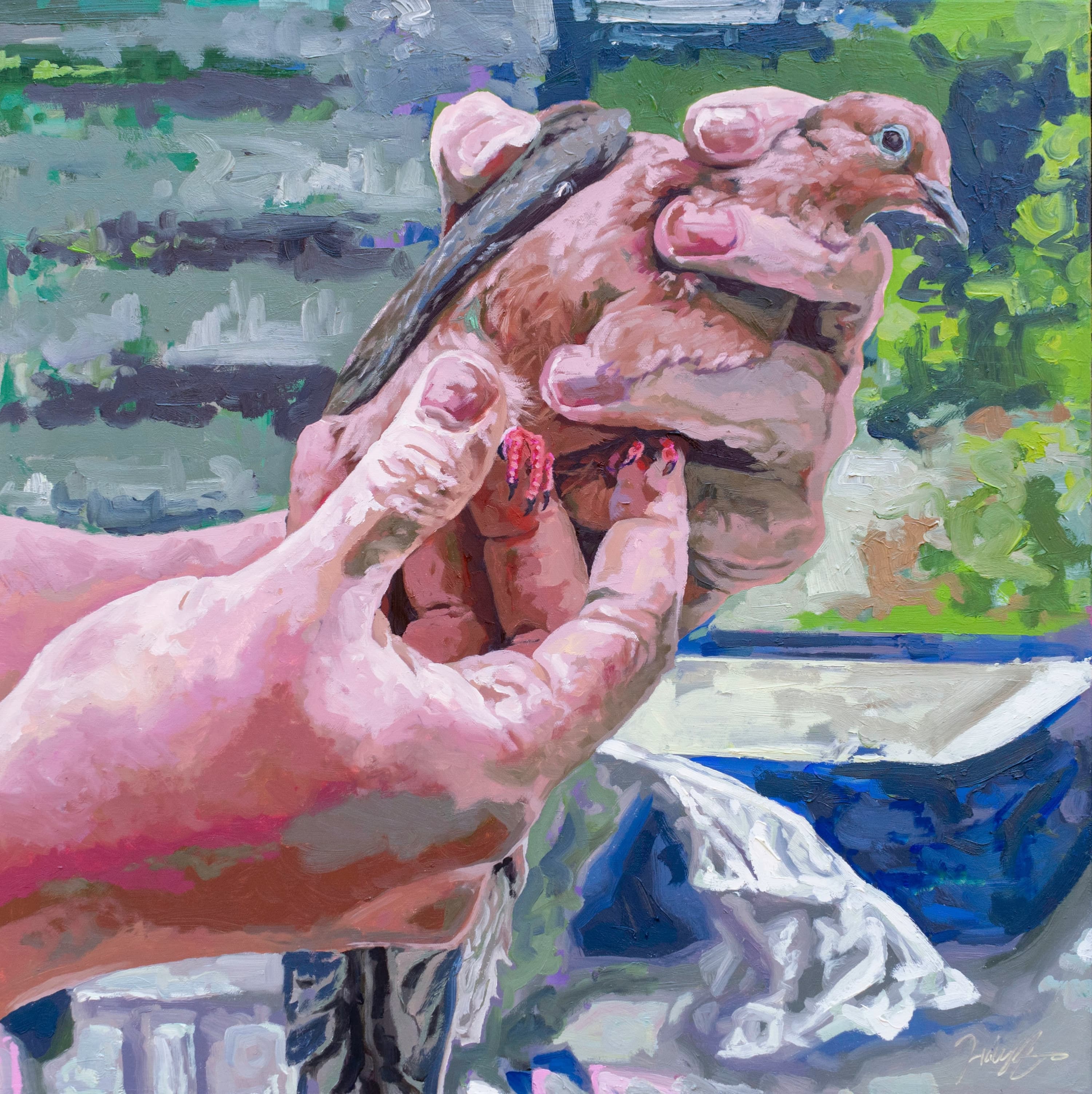 A Band for a Mourning Dove