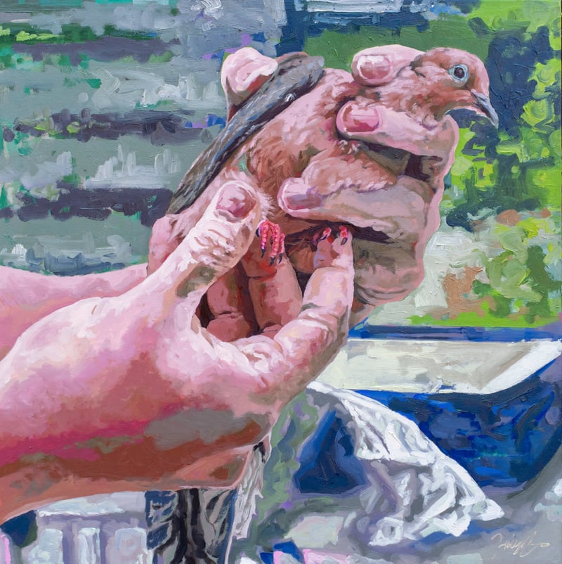 A Band for a Mourning Dove