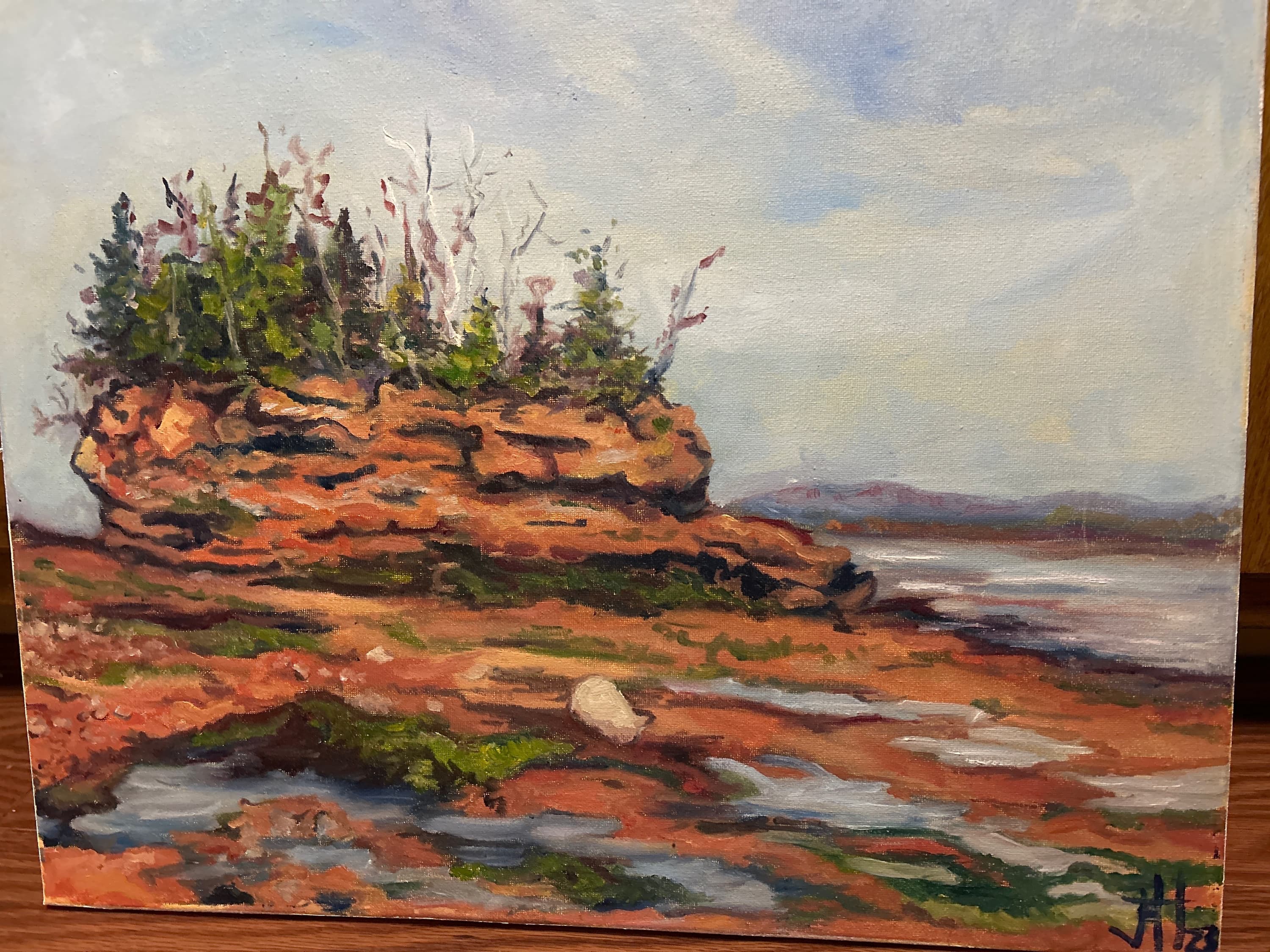 Burntcoat Head Park, low tide