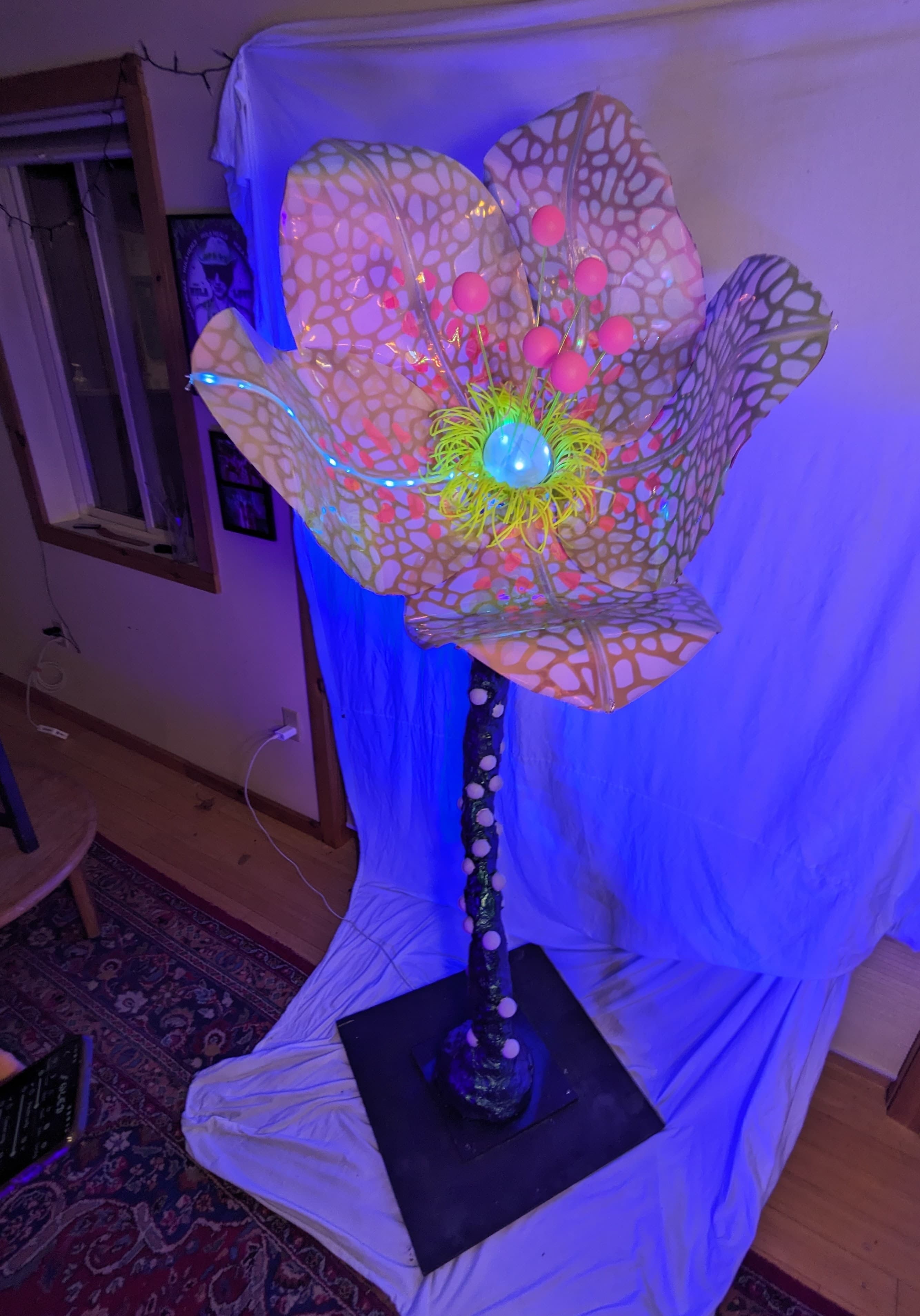 FLORES: interstellar mycelium