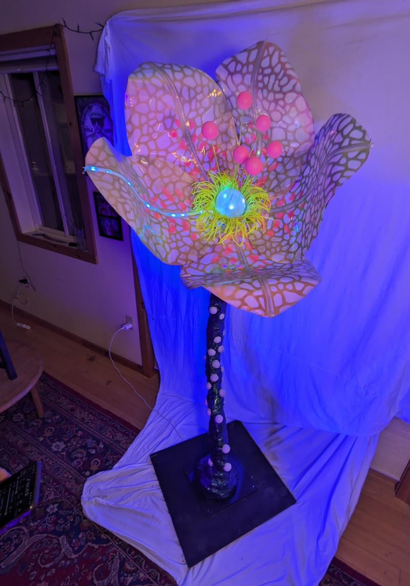 FLORES: interstellar mycelium