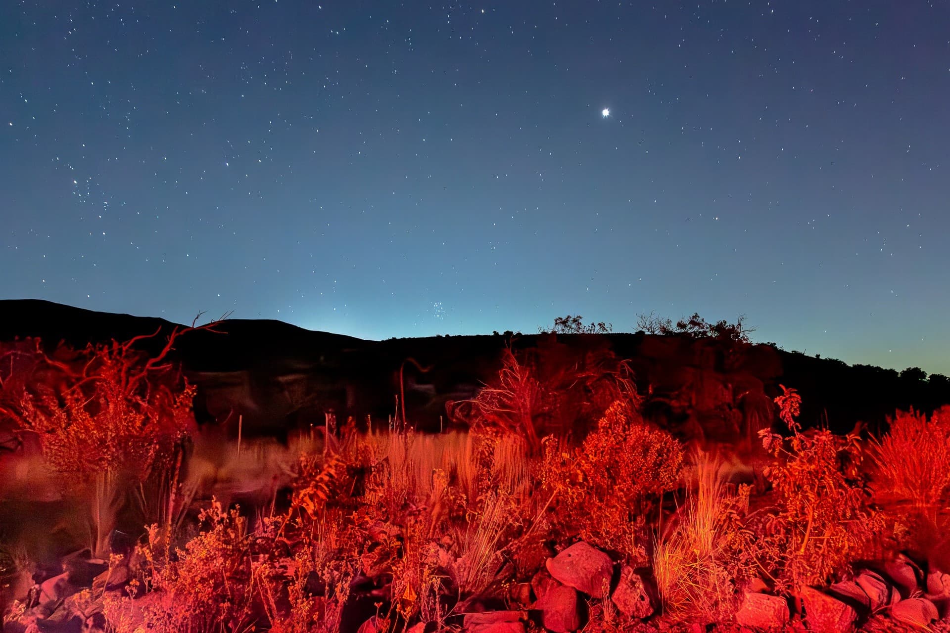 Rage Against the Serene