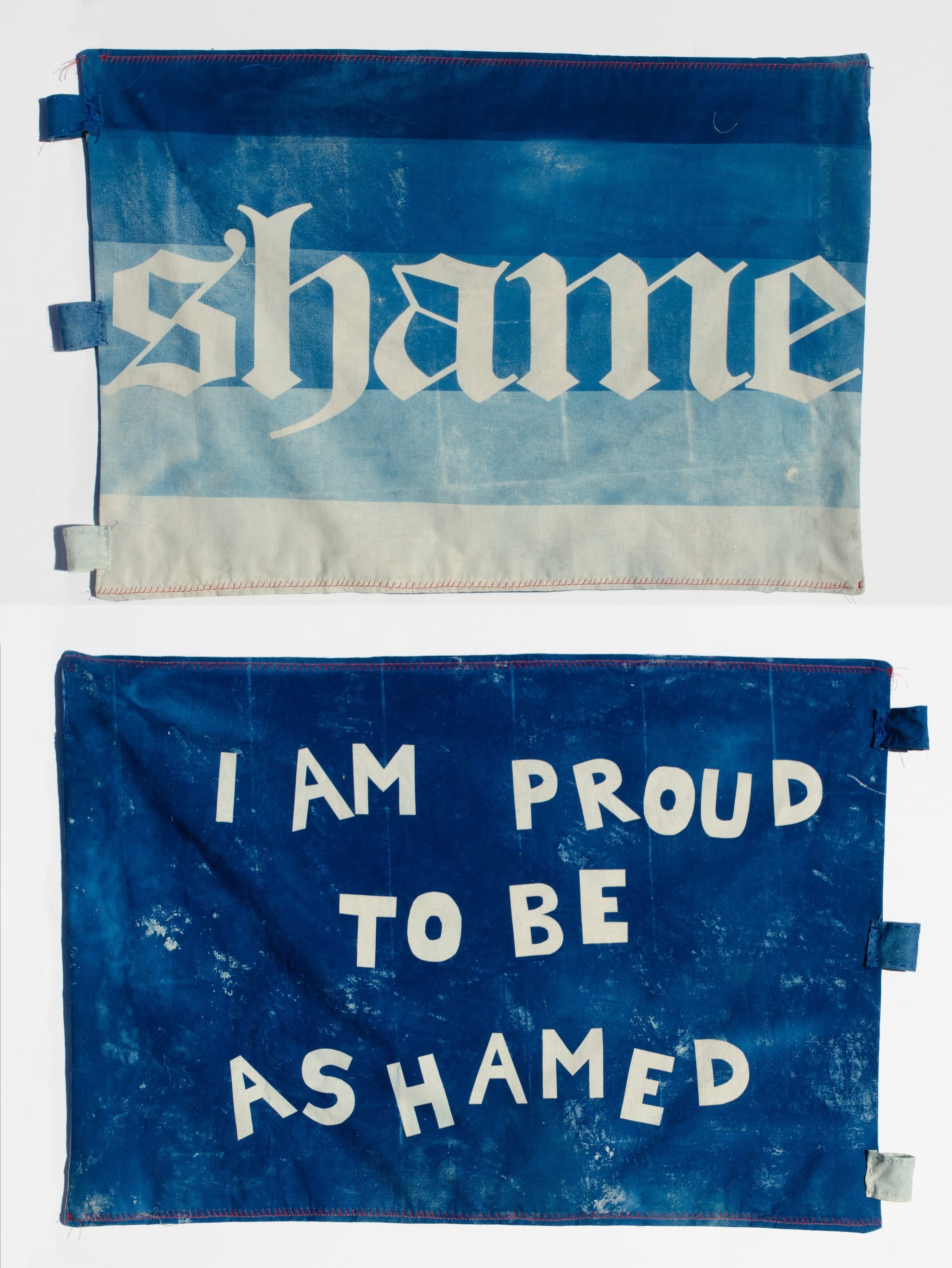 Shame Pride Flag