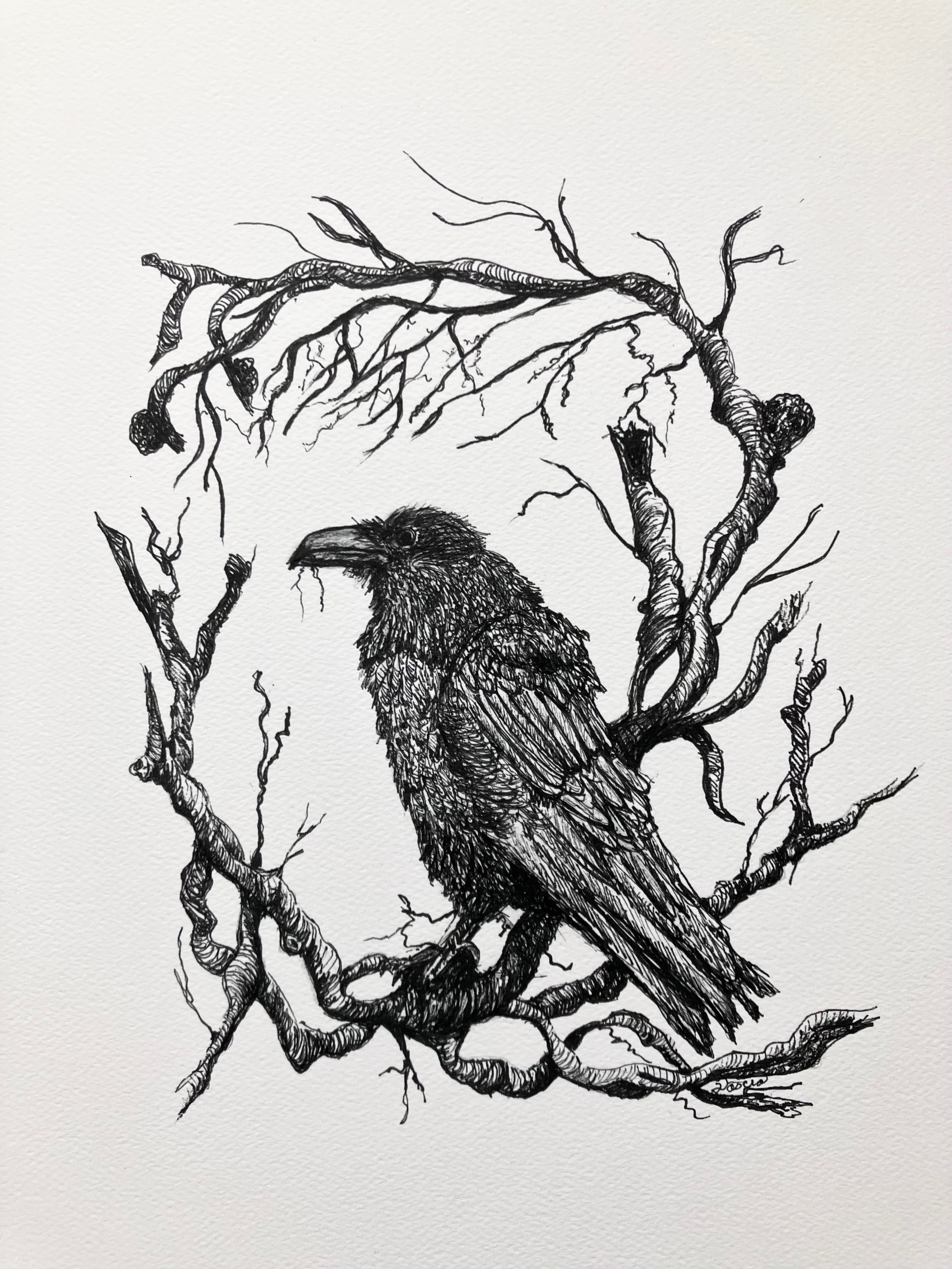 A Raven's Message