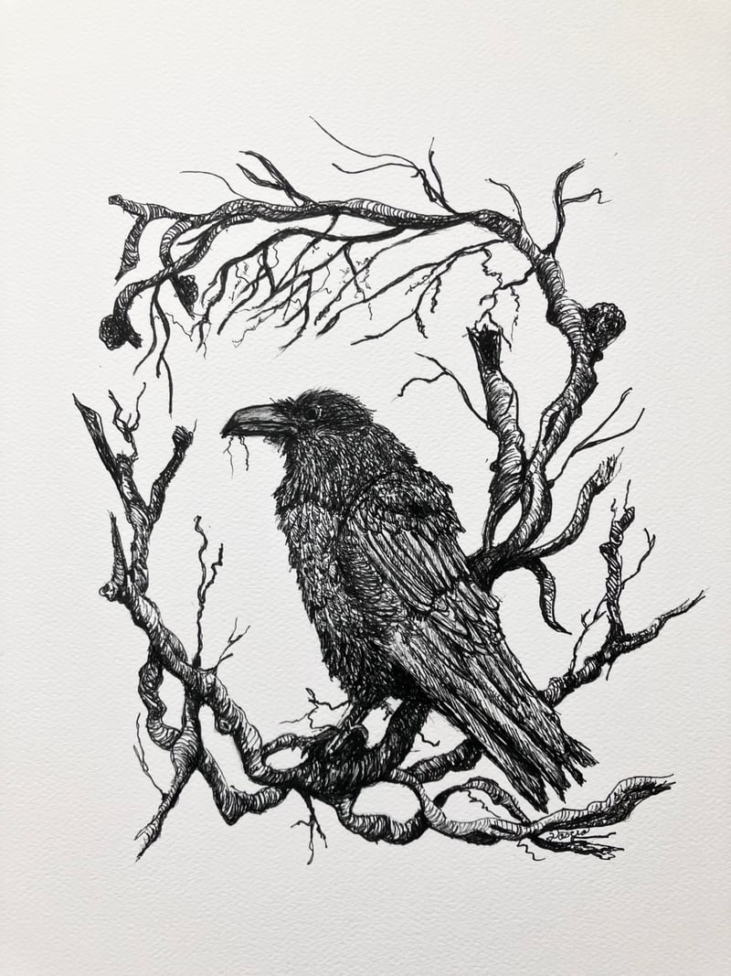 A Raven's Message