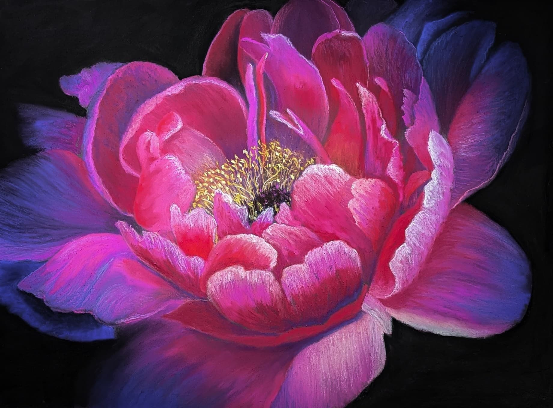Peony For Your Thoughts