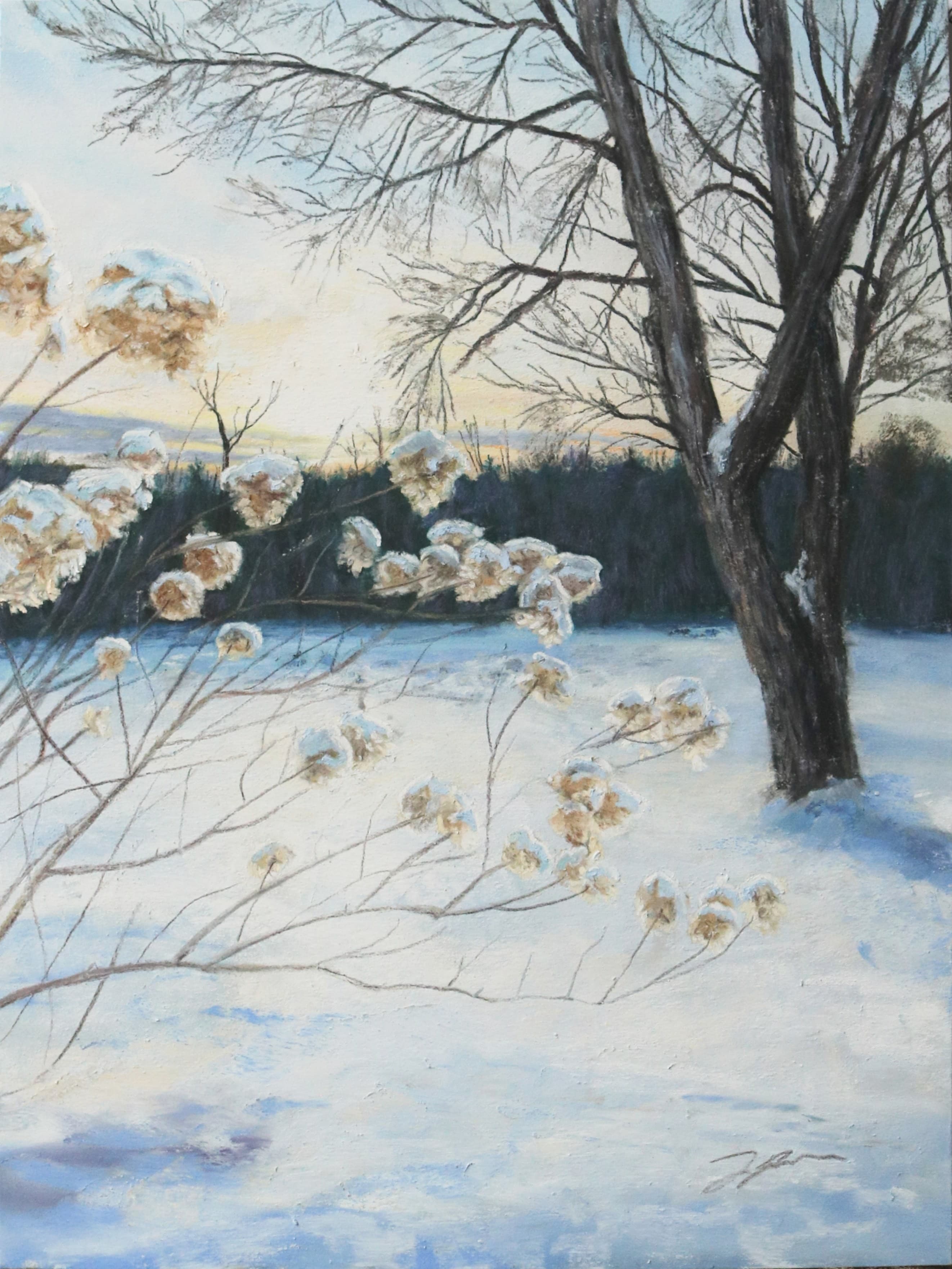 The Crone Flower Blooms in Winter