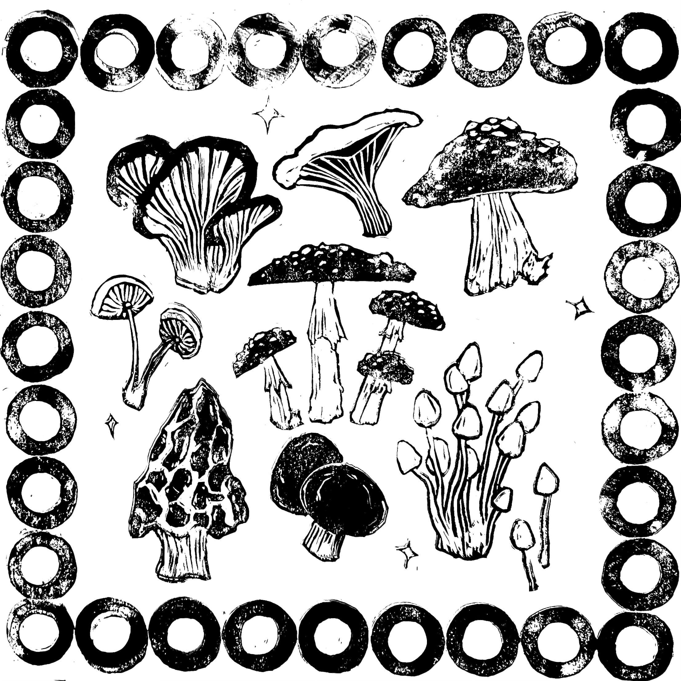 A Field Guide to Mushrooms
