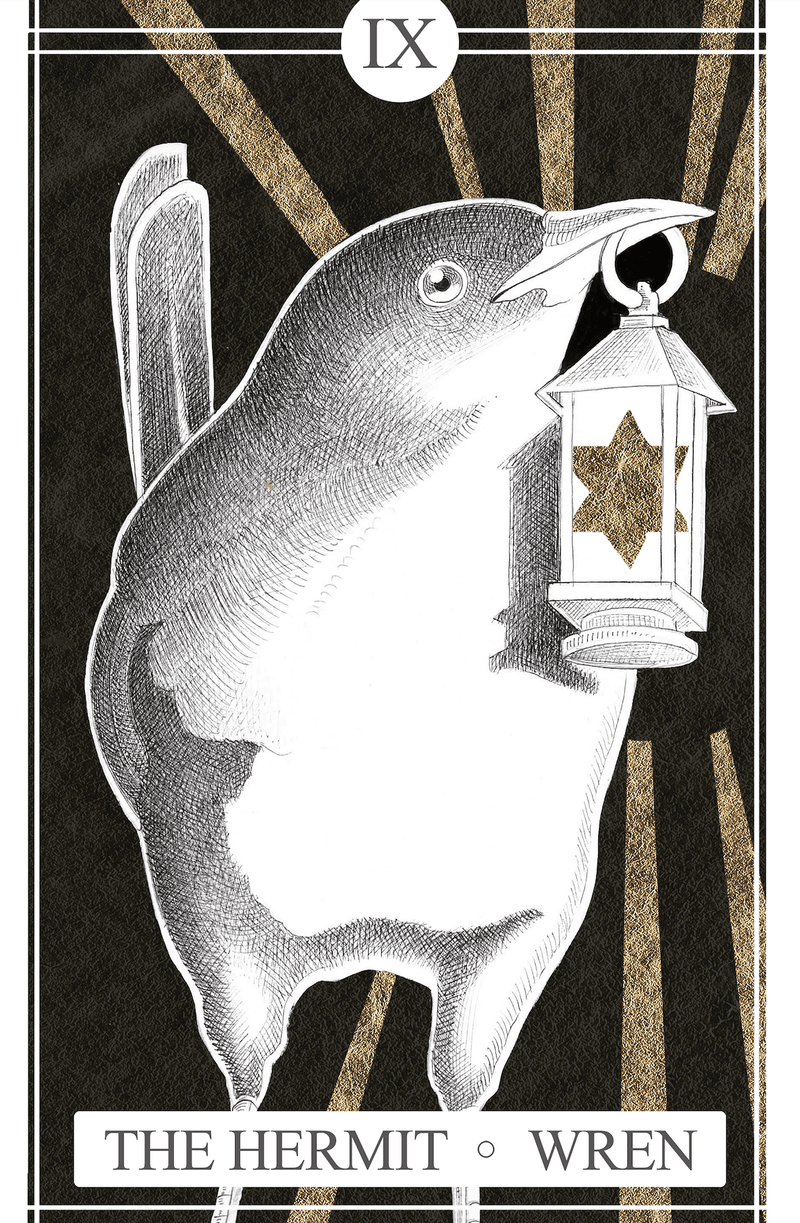 The Hermit - Wren | The Avian Tarot