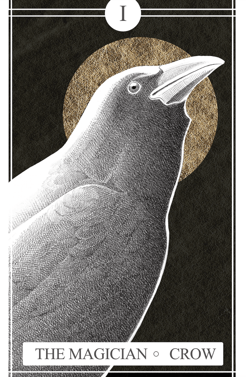 The Magician - Crow | The Avian Tarot