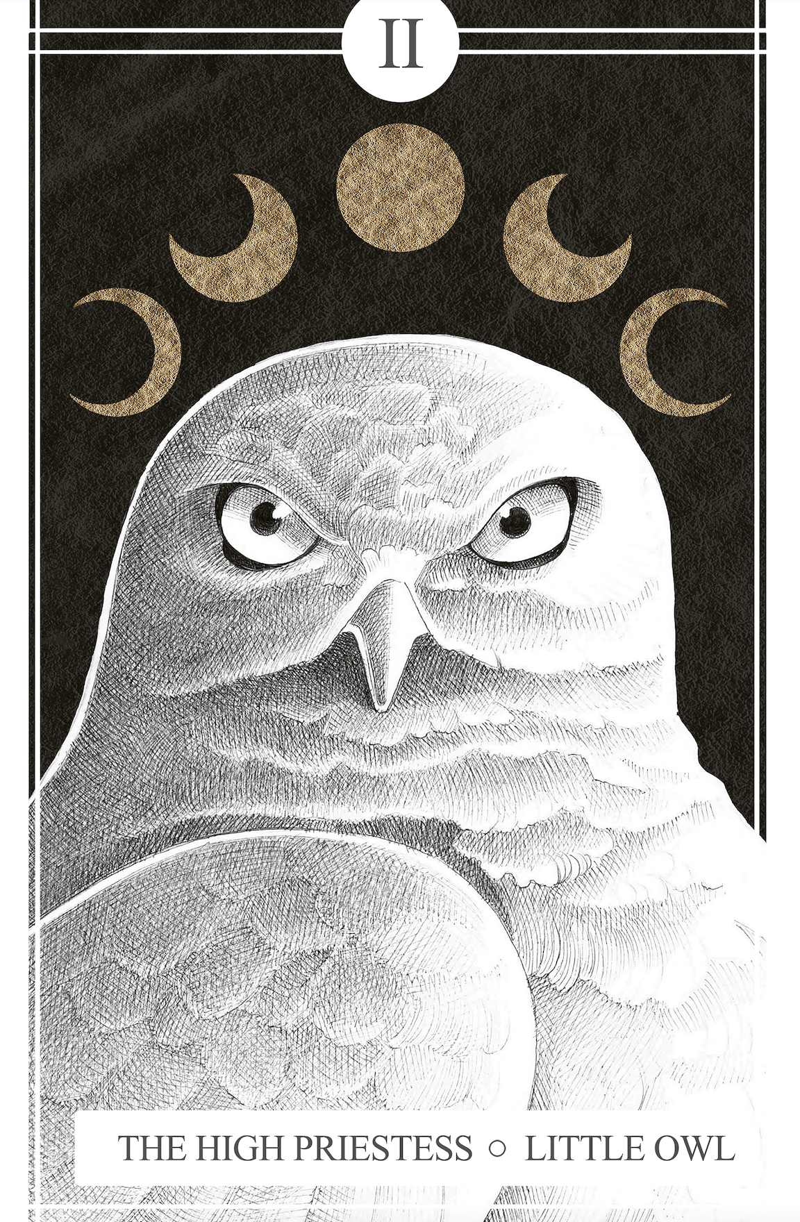 II The High Priestess | Little Owl (Print)