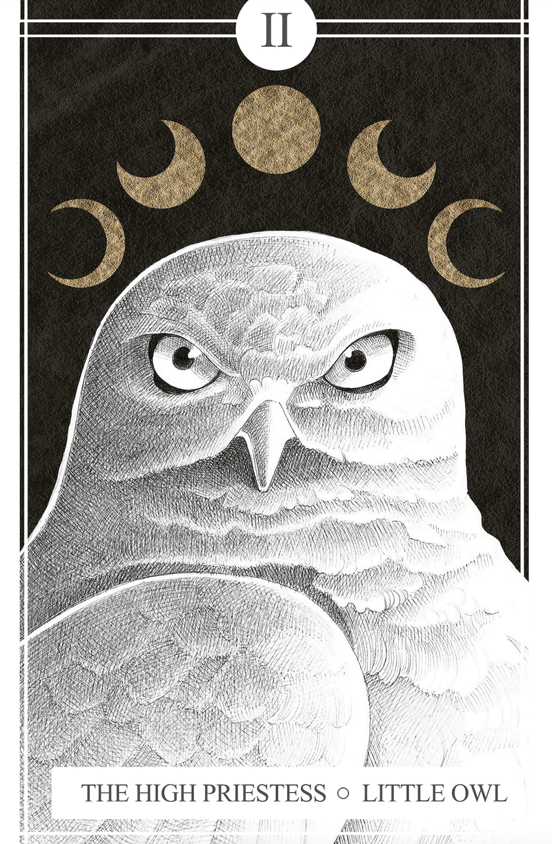 II The High Priestess | Little Owl (Print)