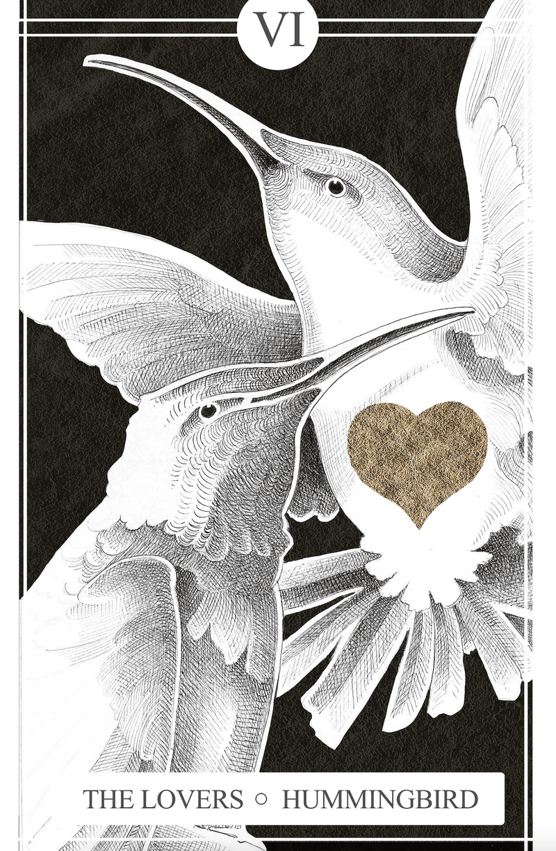 VI The Lovers | Humming Bird (Print)
